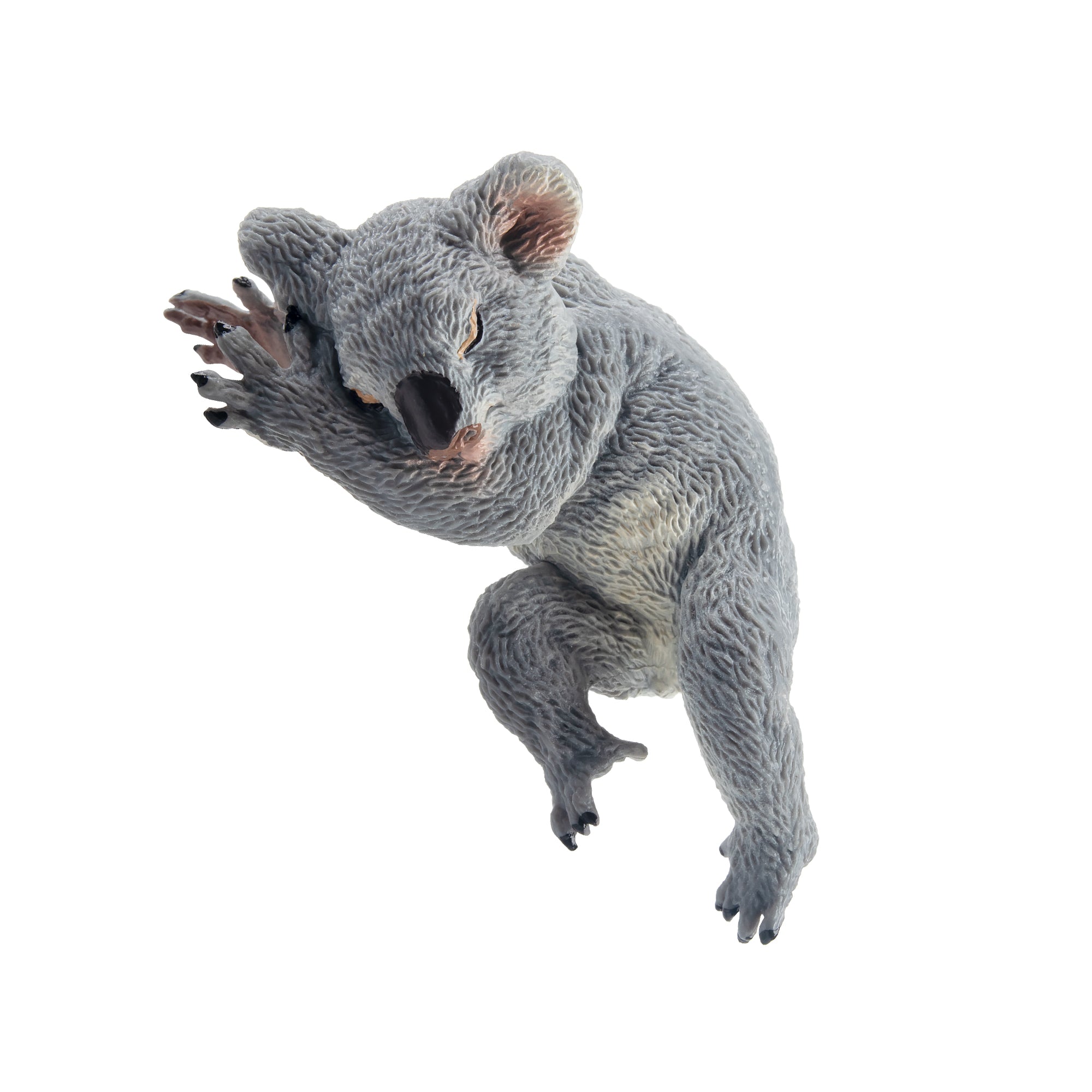 Toymany Sleeping Male Koala