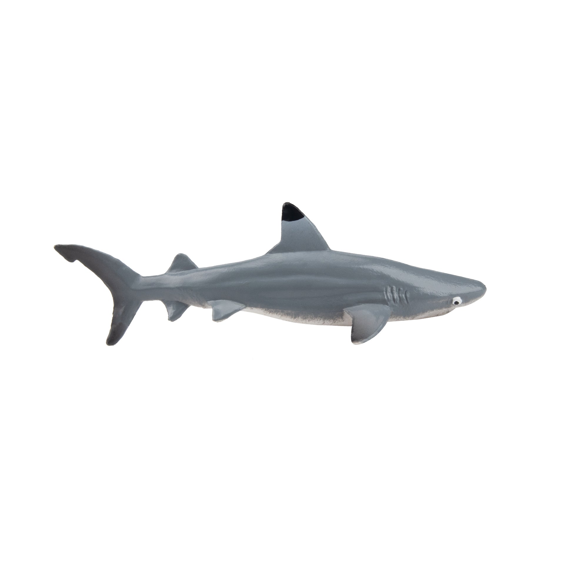 Toymany Small Size Blacktip Reef Shark Figurine Toy