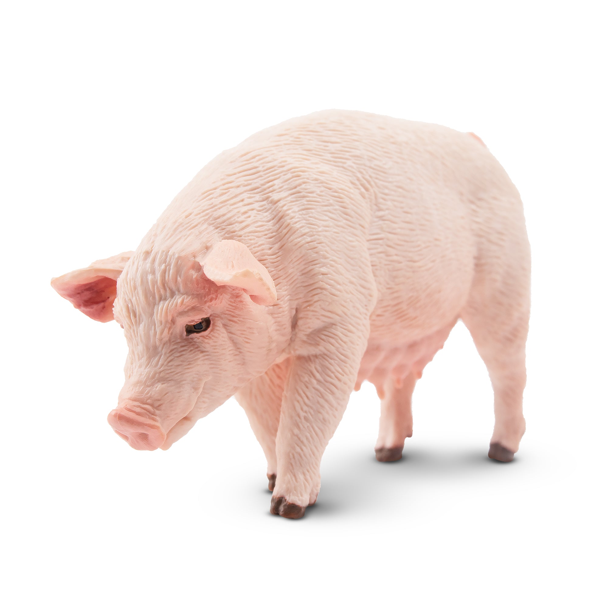Toymany Standing Female Adult Pig Figurine Toy-front