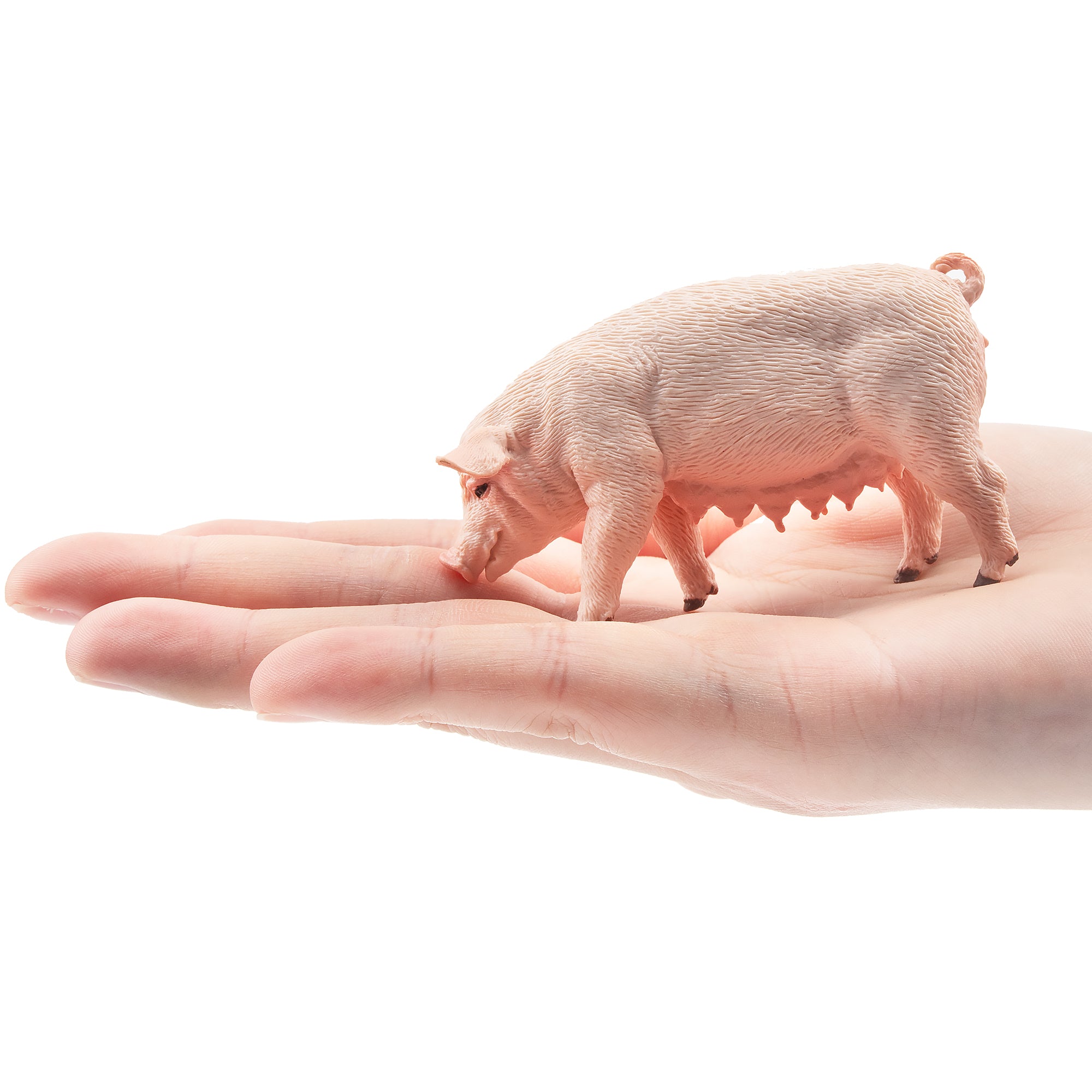 Toymany Standing Female Adult Pig Figurine Toy-on hand