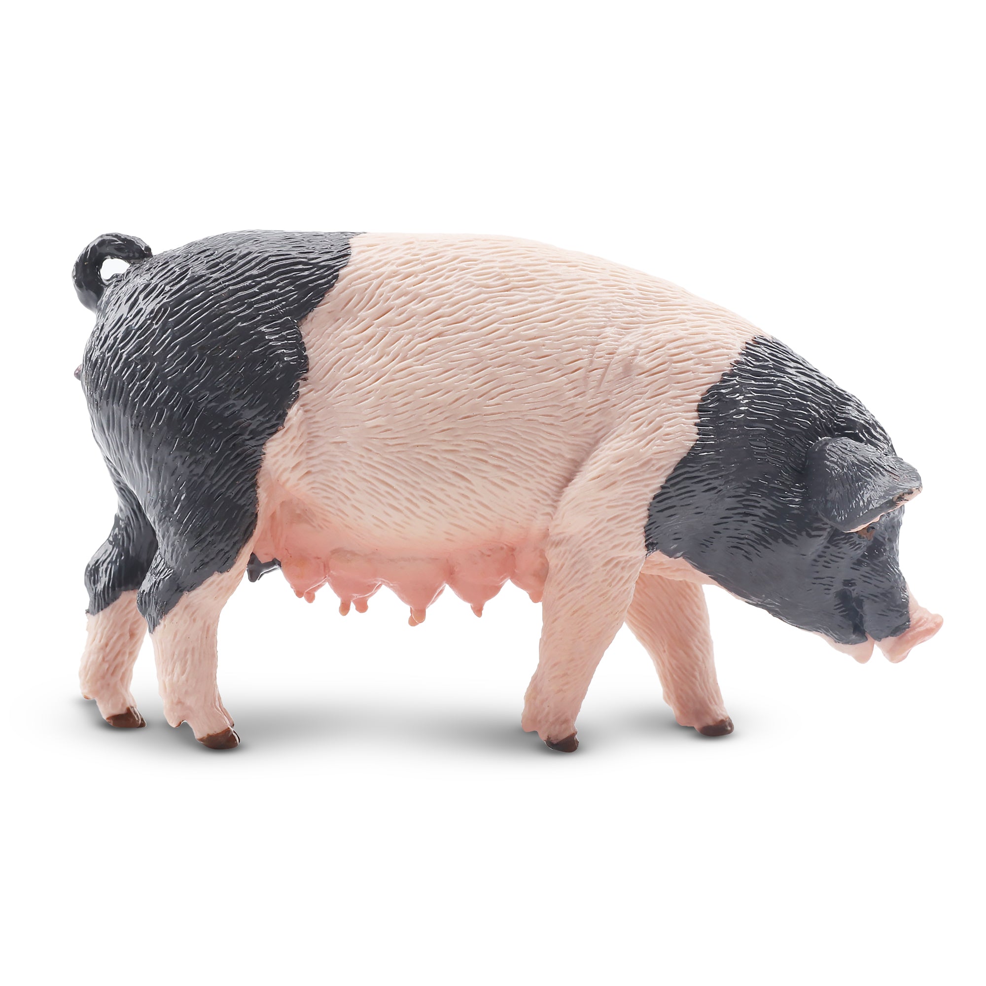 Toymany Standing Grey Female Adult Pig Figurine Toy-2