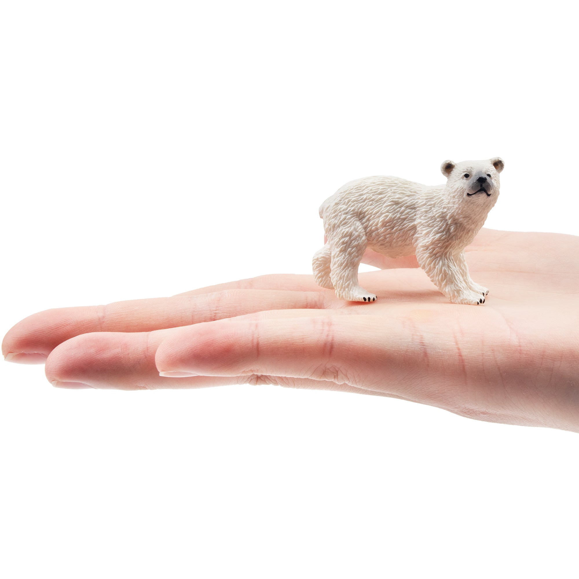 Toymany Standing Polar Bear Cub with Head Raised Figurine-on hand