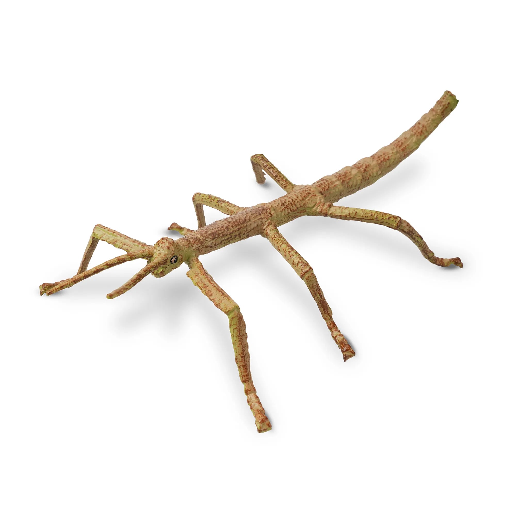 Toymany Stick Insect Figurine Toy