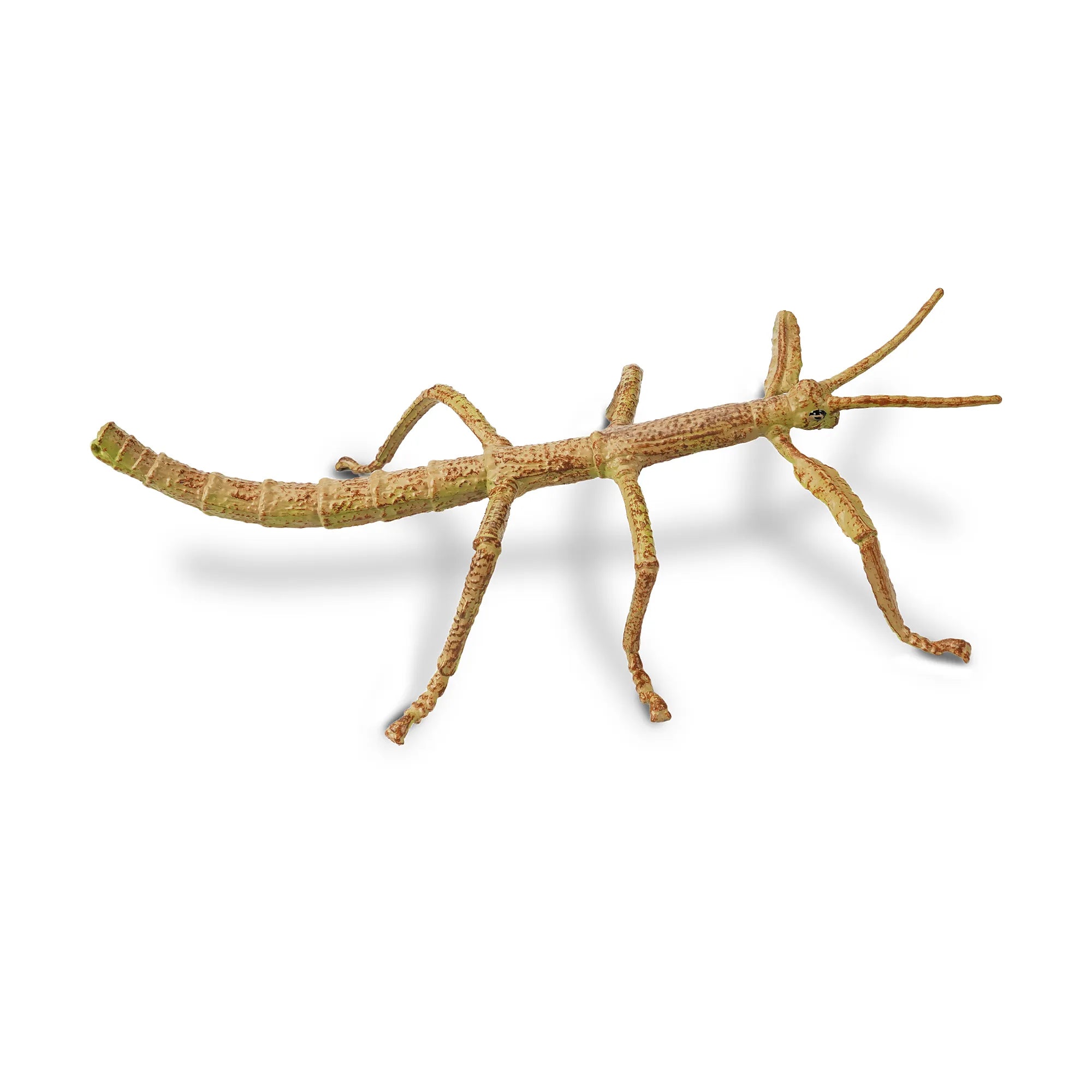 Toymany Stick Insect Figurine Toy