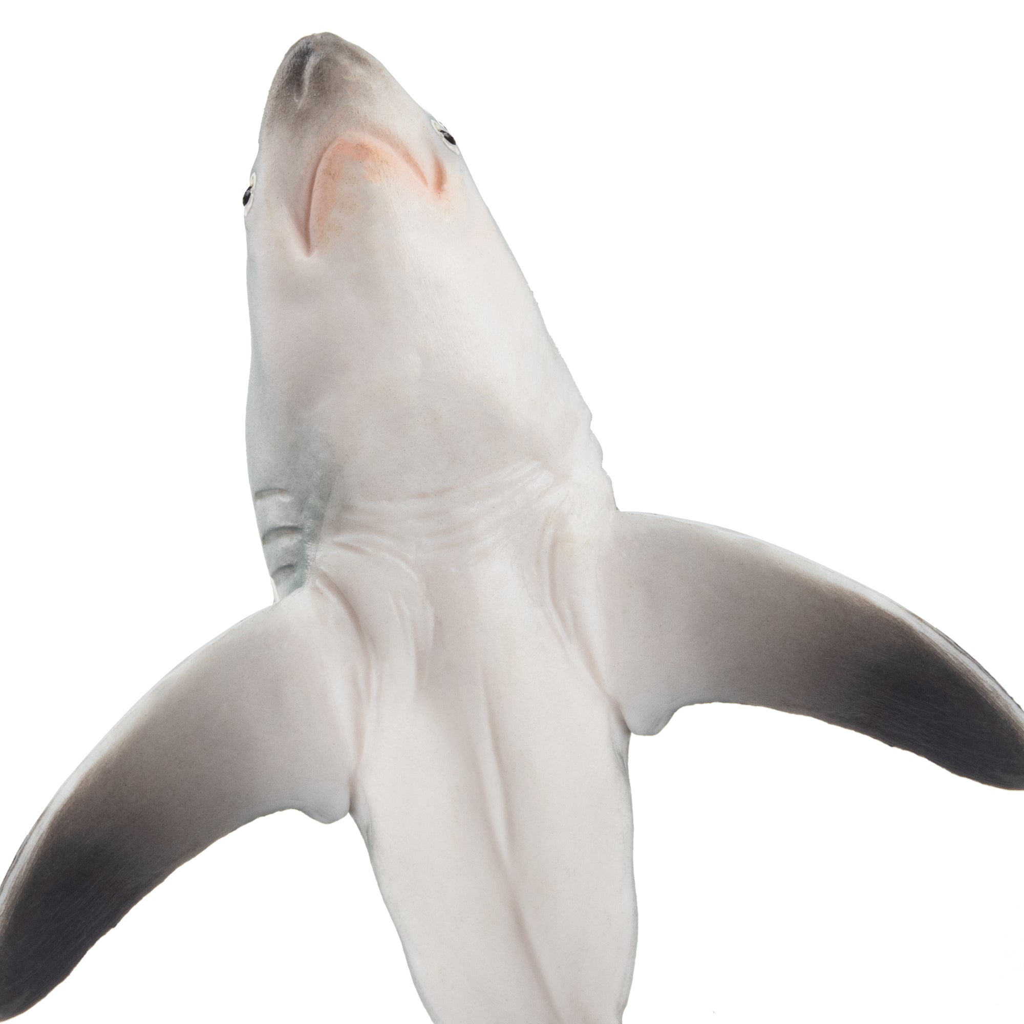 Toymany Thresher Shark Figurine Toy-detail