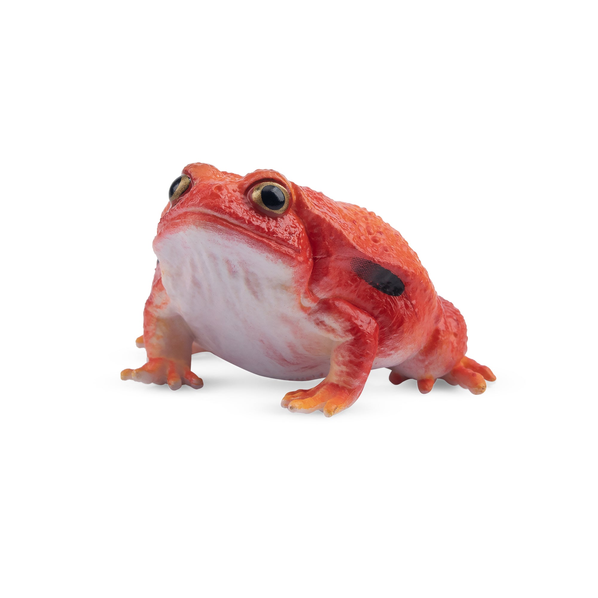 Toymany Tomato Frog Figurine Toy-1