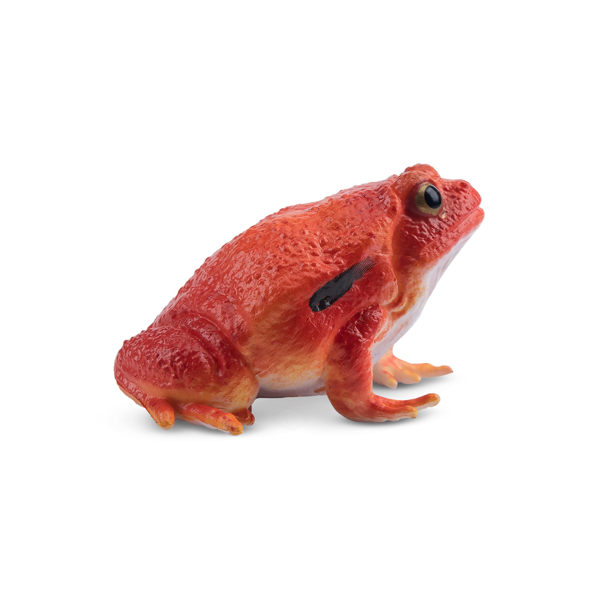 Toymany Tomato Frog Figurine Toy-3