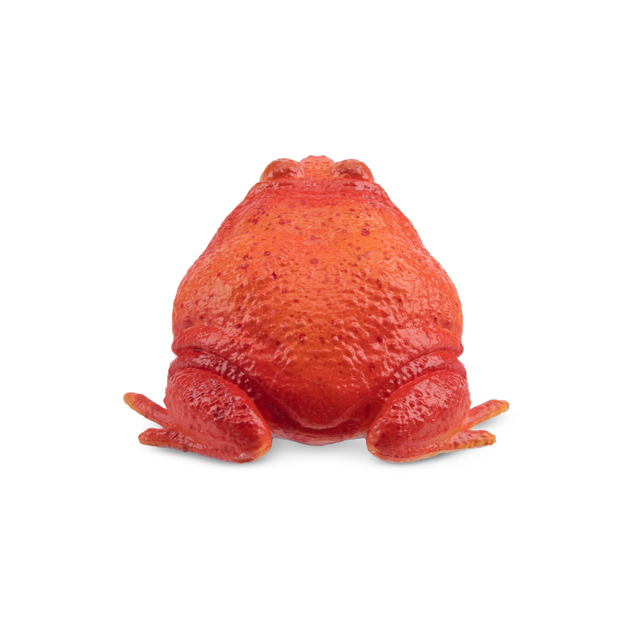 Toymany Tomato Frog Figurine Toy-back