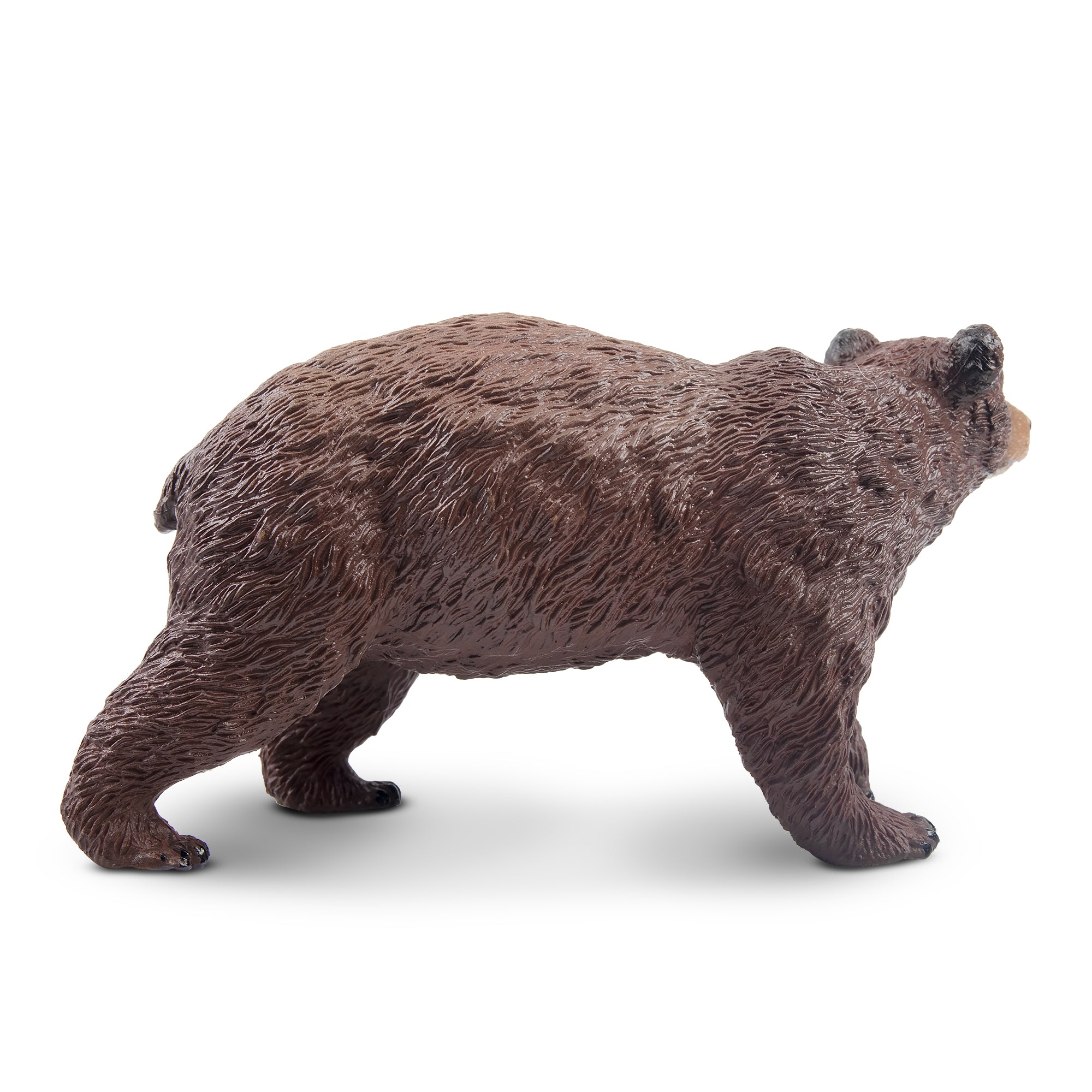 Toymany Walking Brown Bear Figurine Toy-3