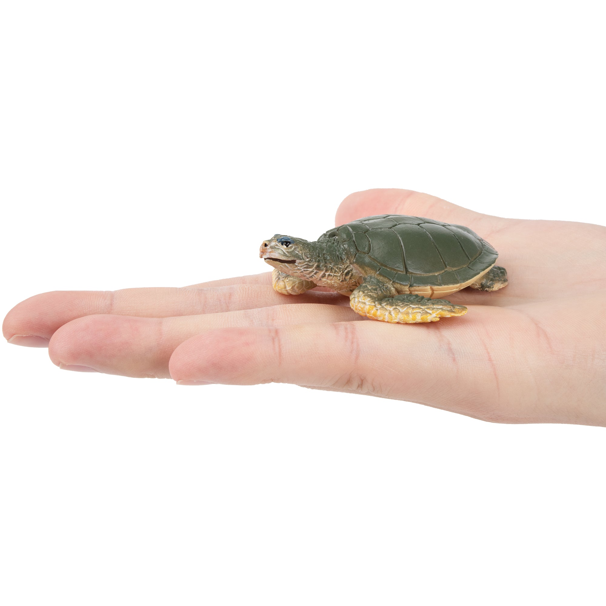 Toymany Walking Kemp's Ridley Sea Turtle Figurine Toy-on hand