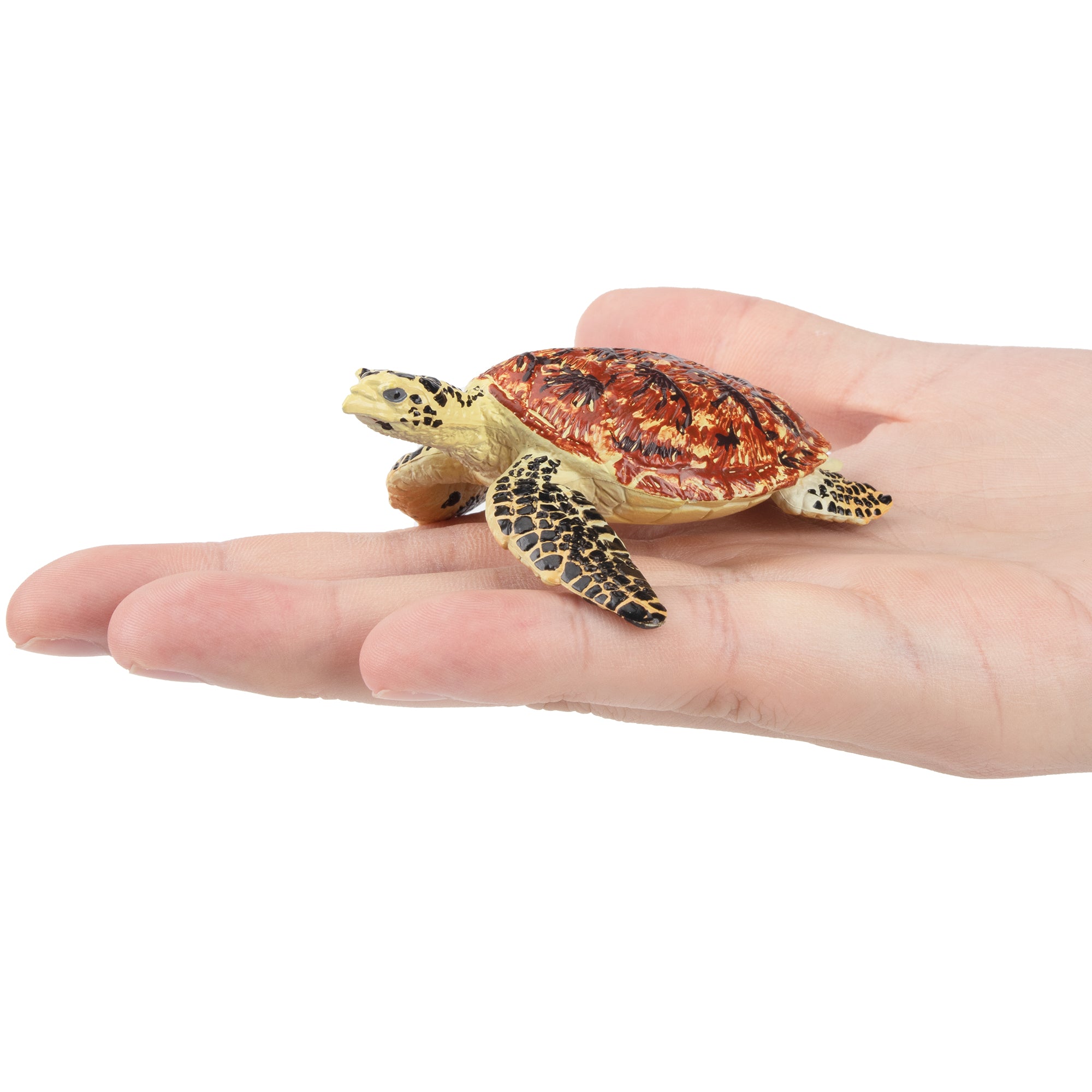 Toymany Walking Sea Turtle Figurine Toy-on hand