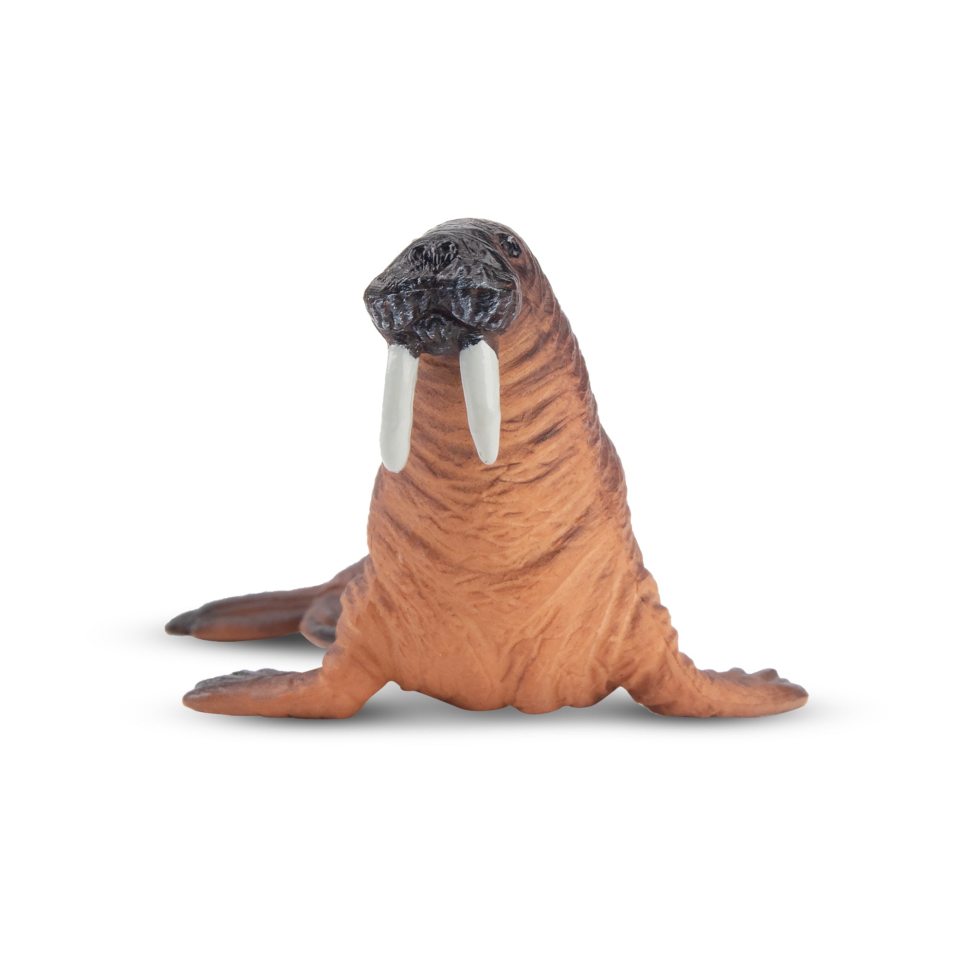 Toymany Walrus Figurine Toy-front