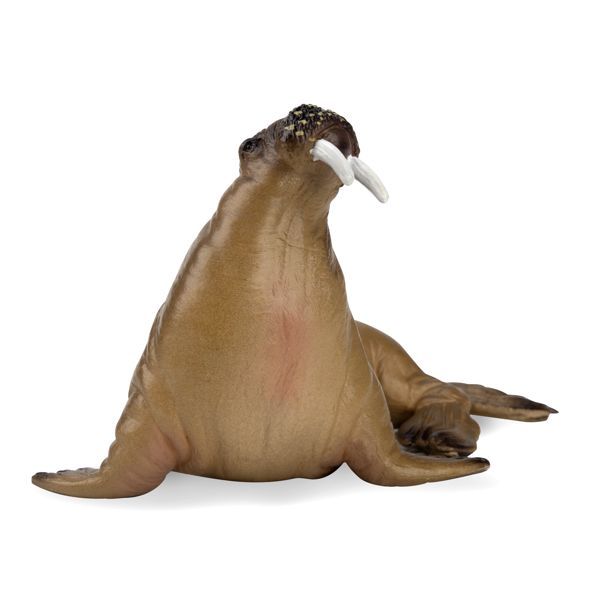 Toymany Walrus Figurine Toy-front