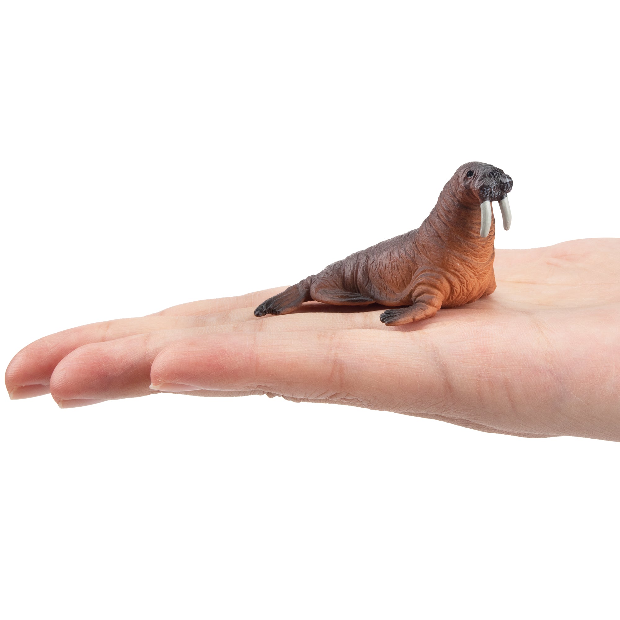 Toymany Walrus Figurine Toy-on hand