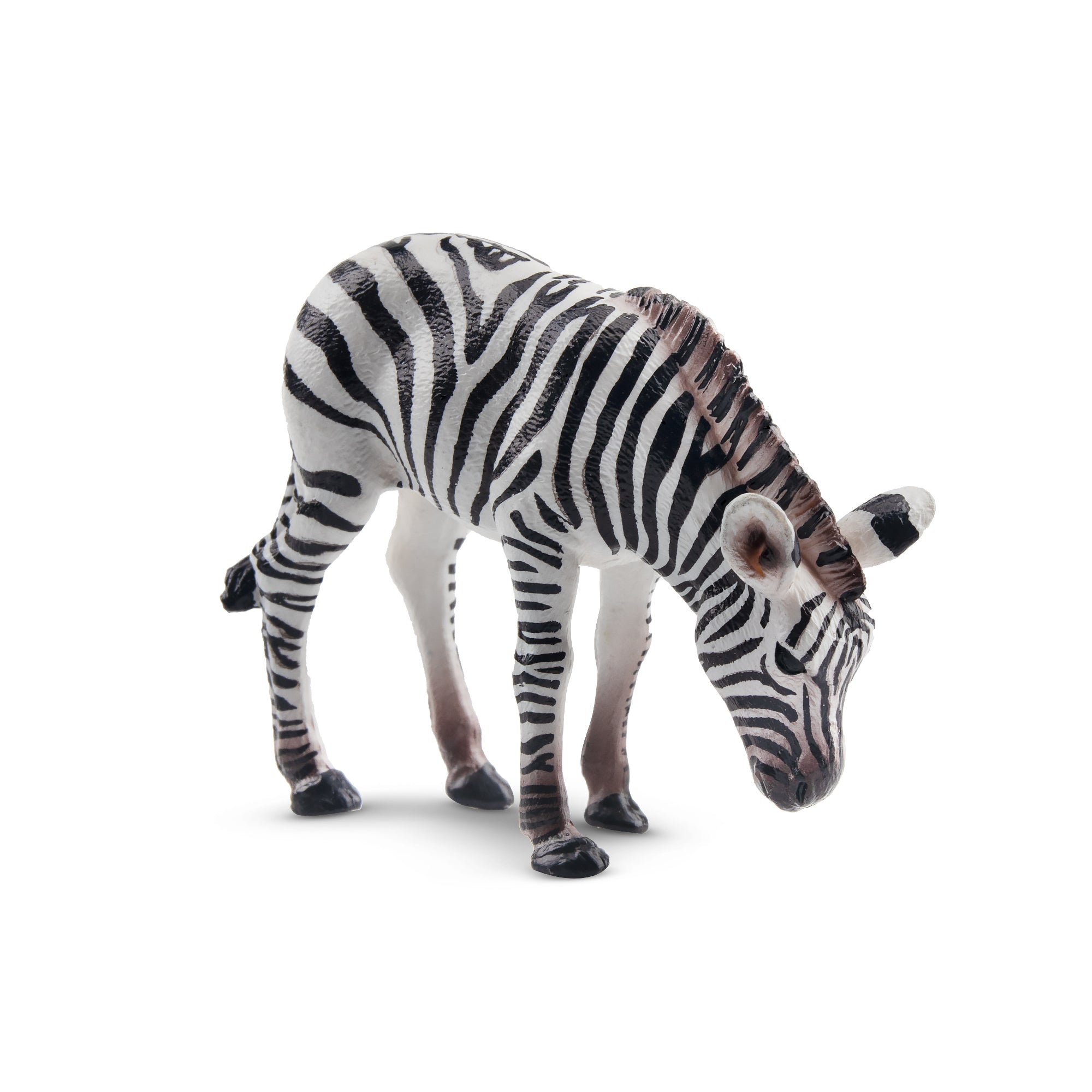 Toymany Zebra Foal Figurine Toy-2