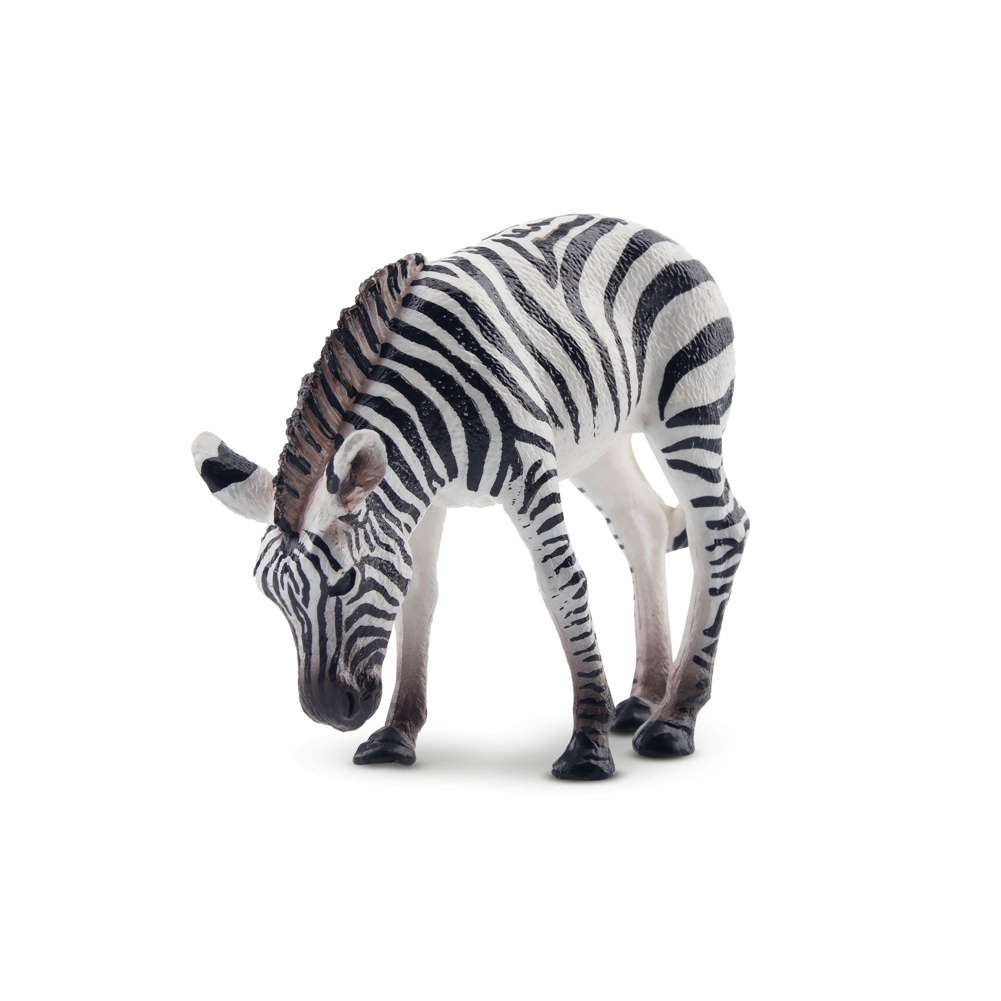 Toymany Zebra Foal Figurine Toy-front