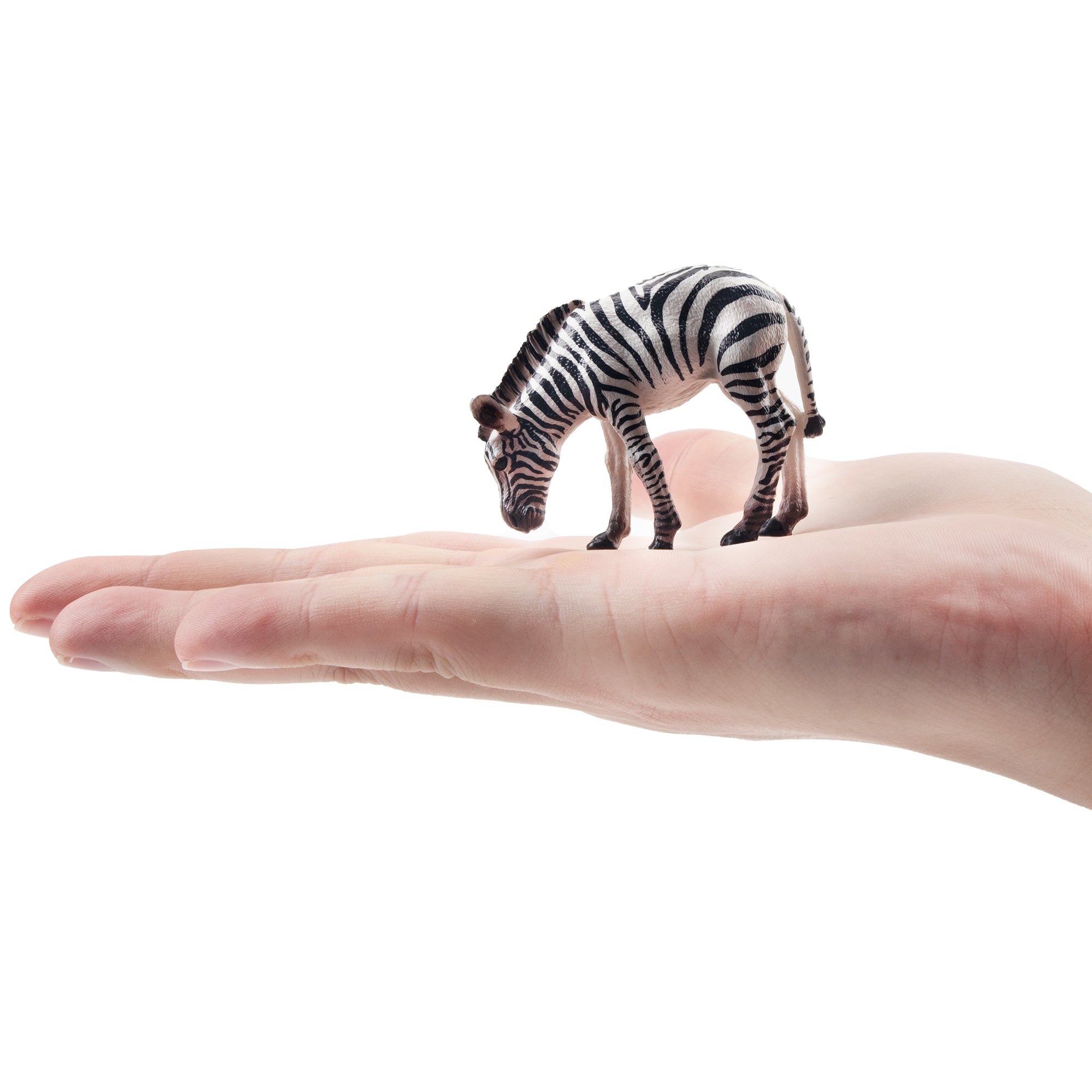 Toymany Zebra Foal Figurine Toy-on hand