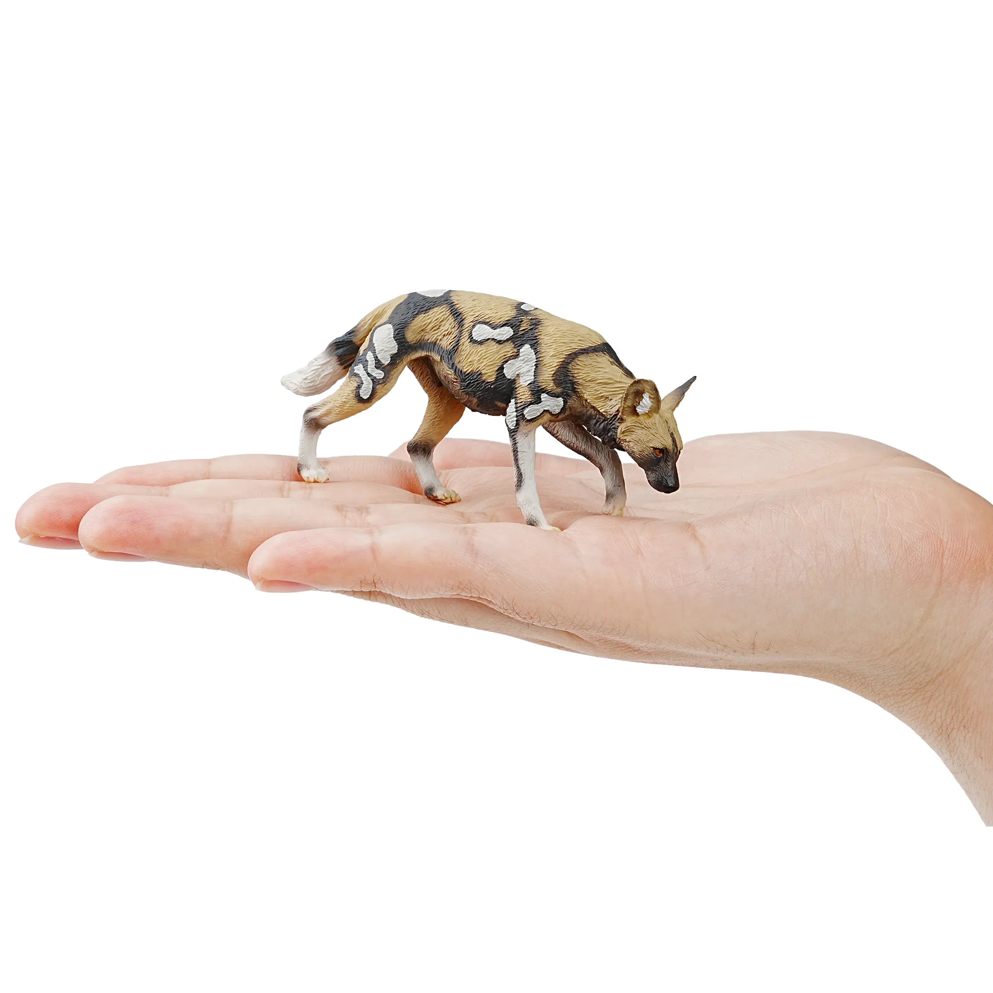 Toymany African Wild Dog Figurine Toy-on hand