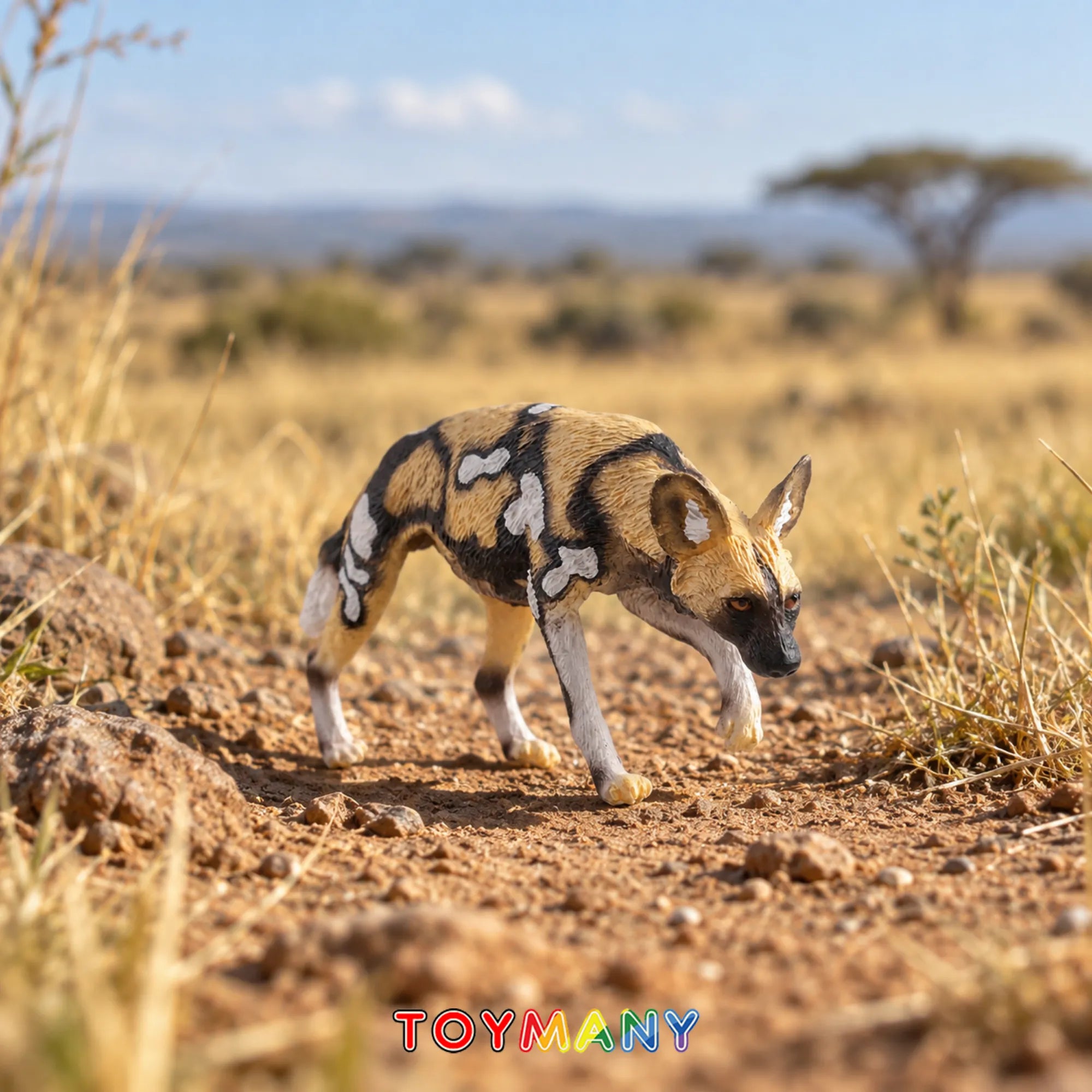 Toymany African Wild Dog Figurine Toy-scene
