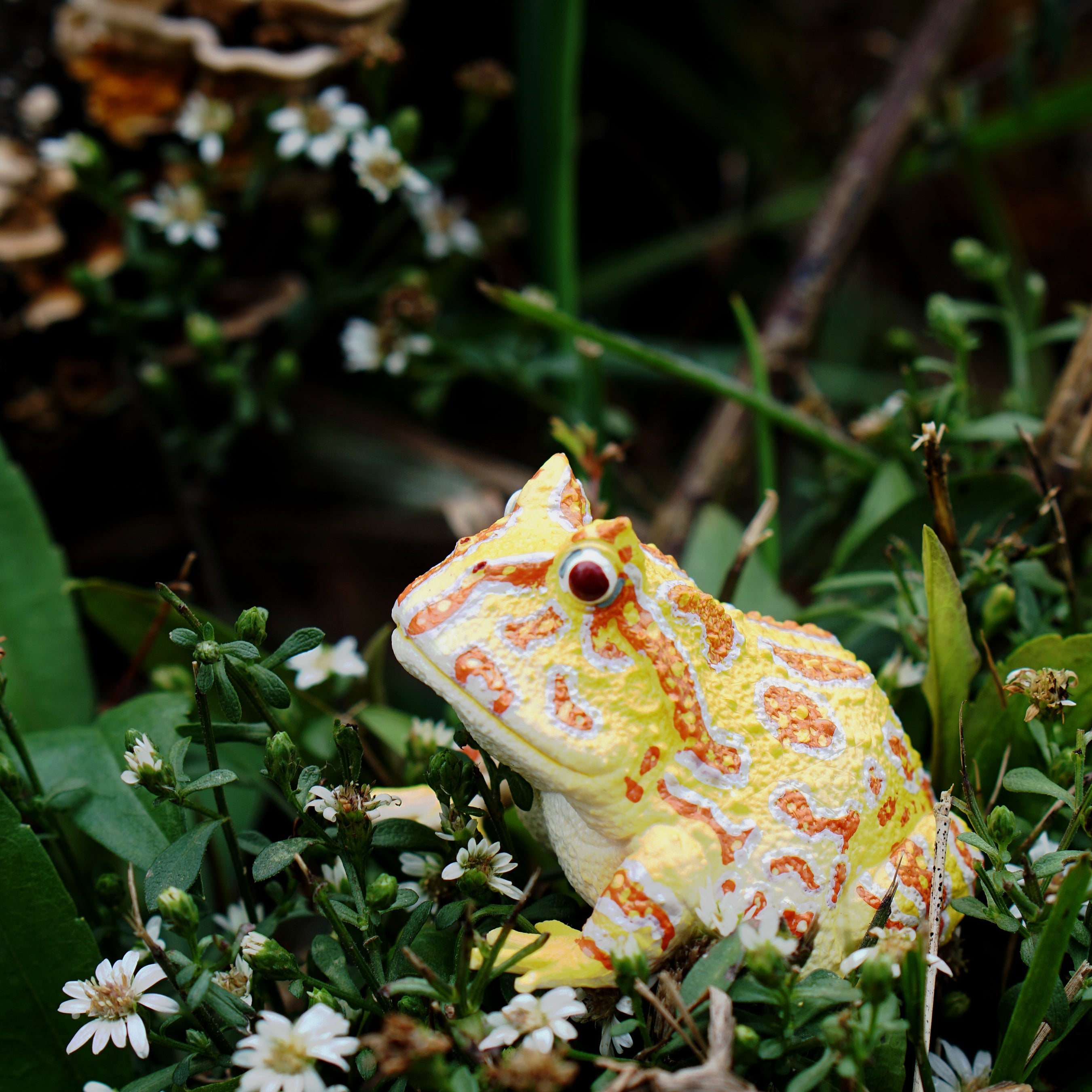 Toymany Argentine Horned Frog Figurine Toy