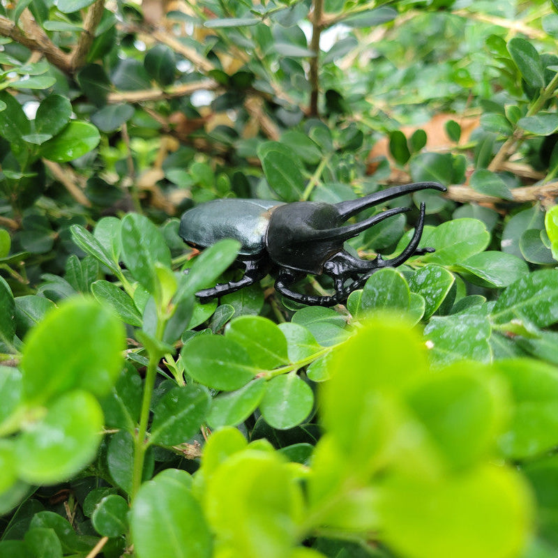 Toymany Atlas Beetle Figurine Toy