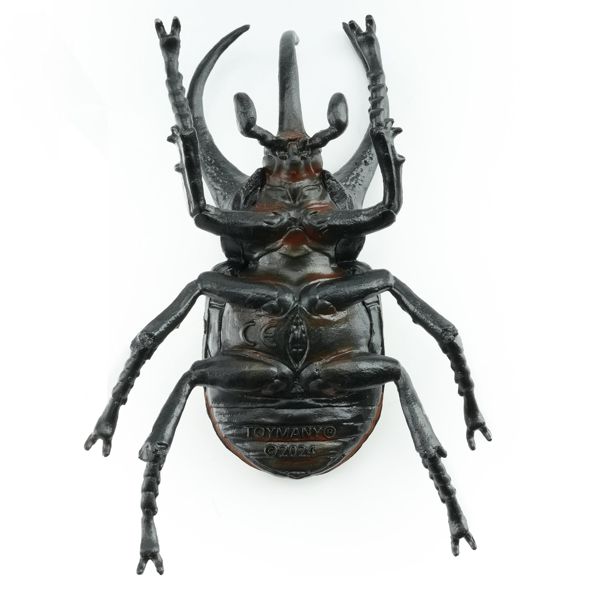 Toymany_Atlas_Beetle_Figurine_Toy-back