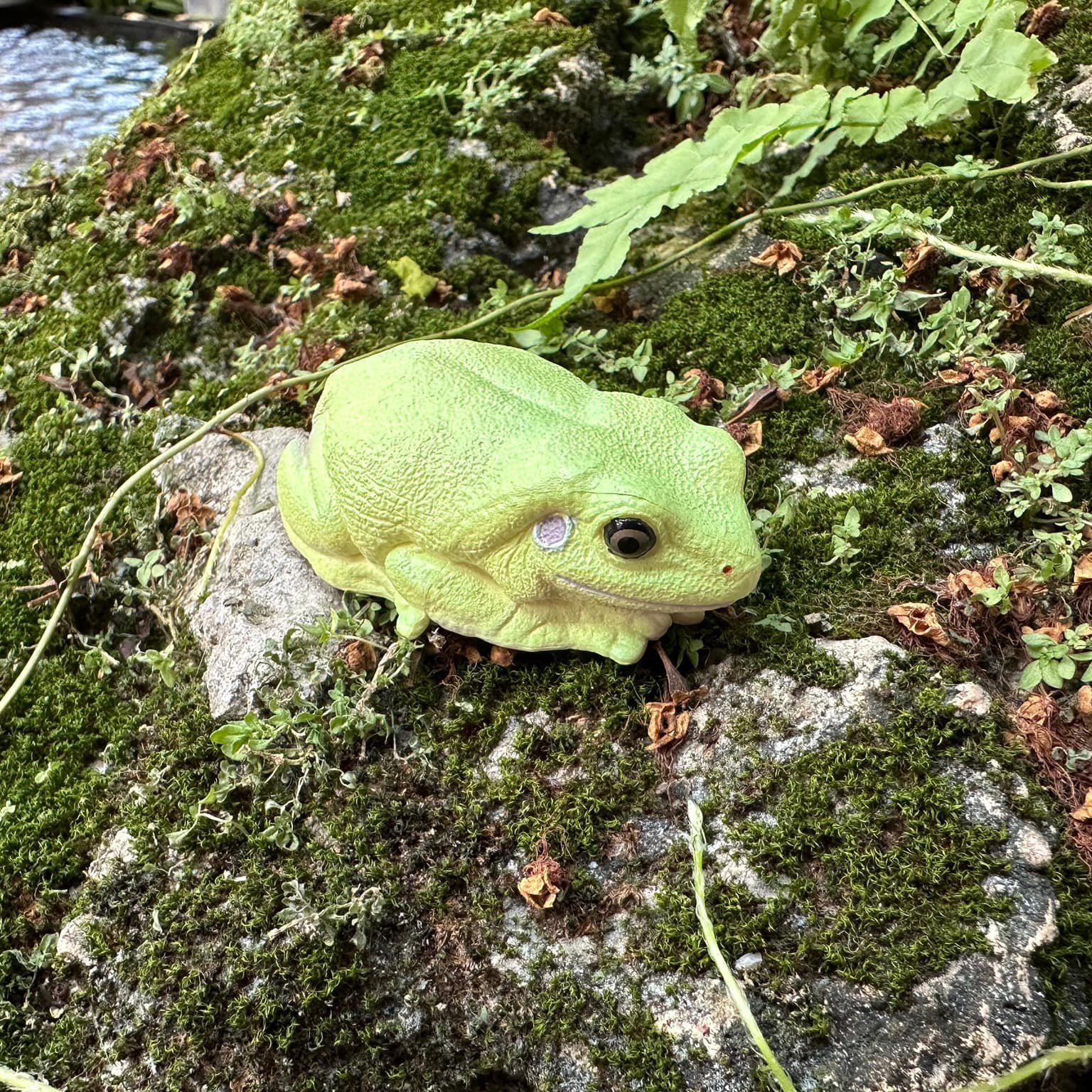 لعبة تمثال ضفدع الشجر الأخضر الأسترالي من Toymany
