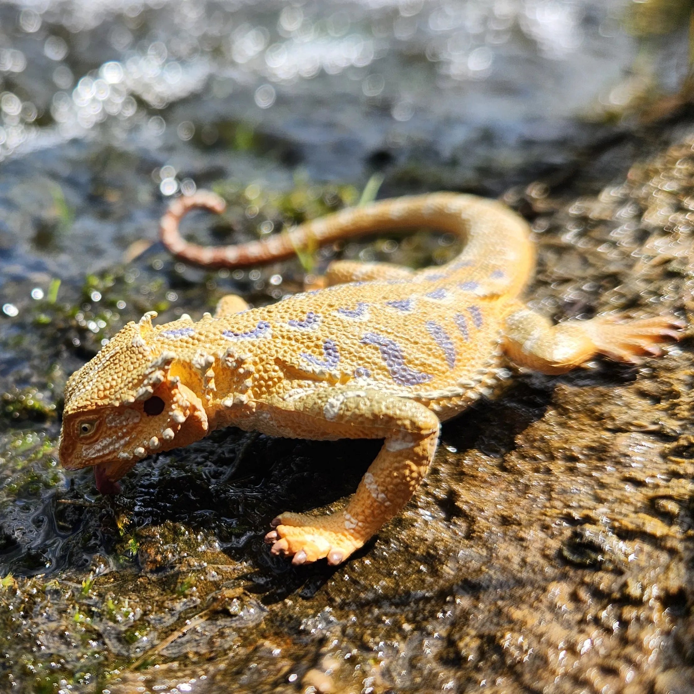 Toymany Bearded Dragon Figurine Toy