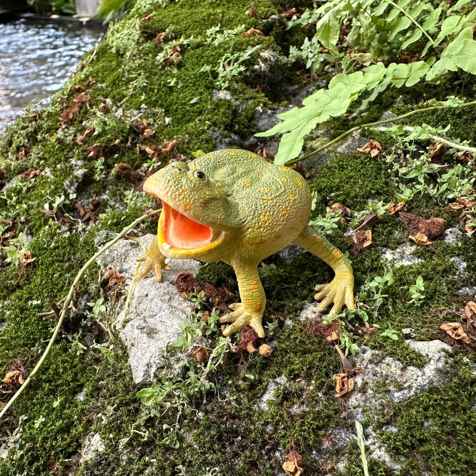 Figura de Rana de Budgett Toymany