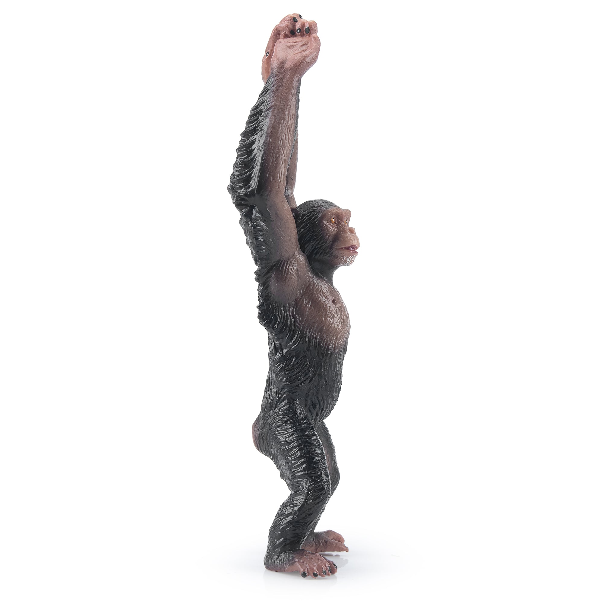 Toymany_Chimpanzee_Figurine_Toy-2