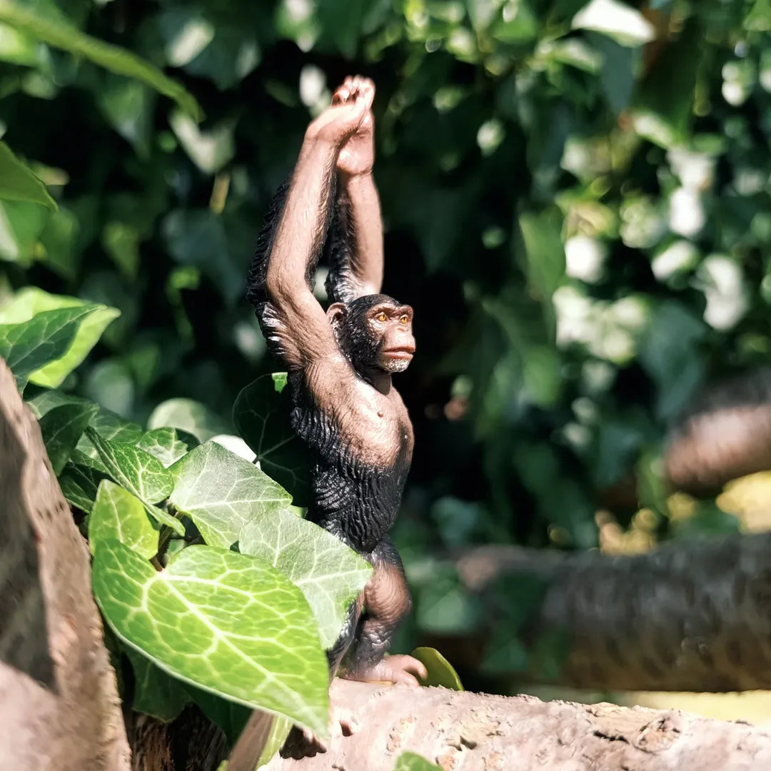 Toymany Chimpanzee Figurine Toy