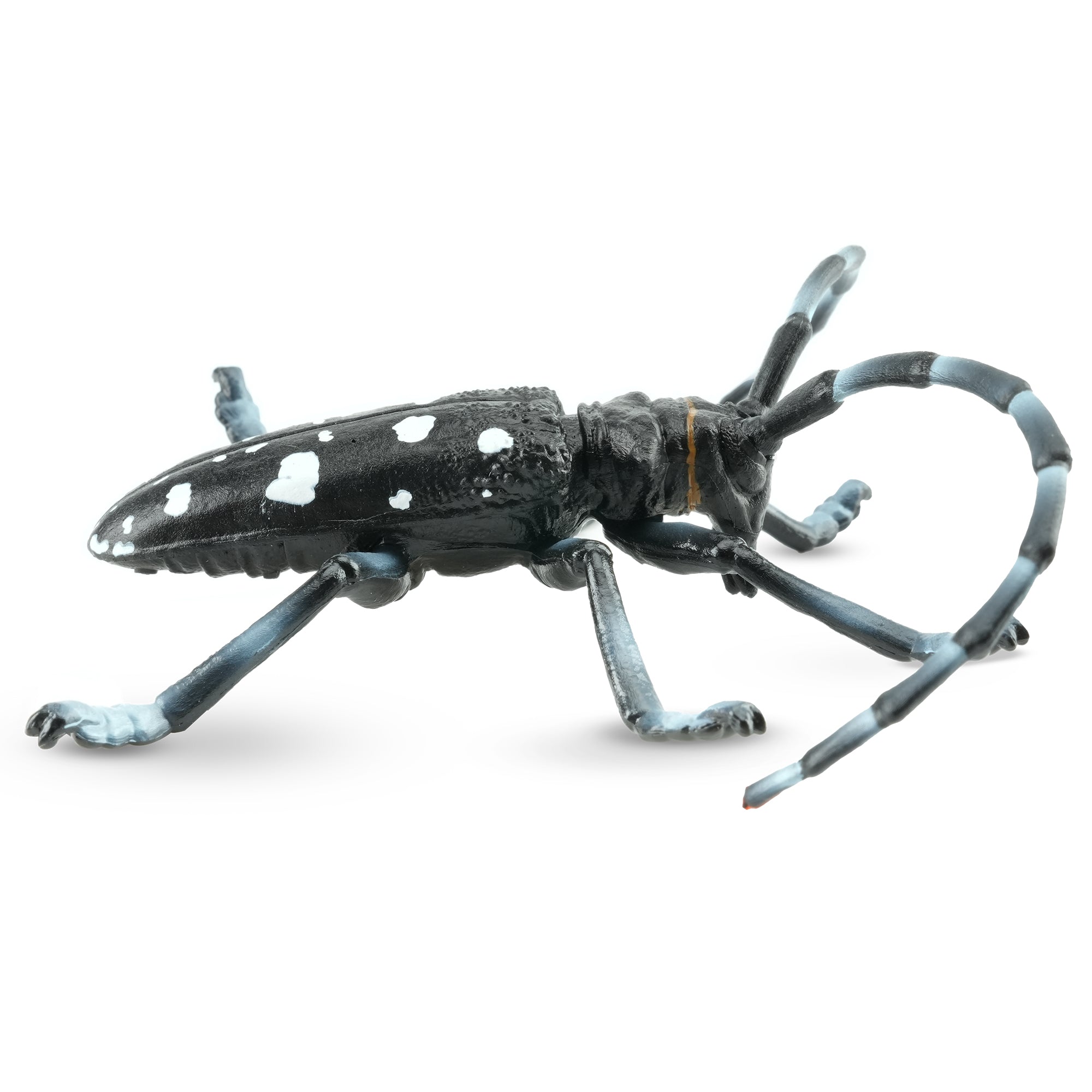 Toymany_Citrus_Longhorned_Beetle_Figurine_Toy-3