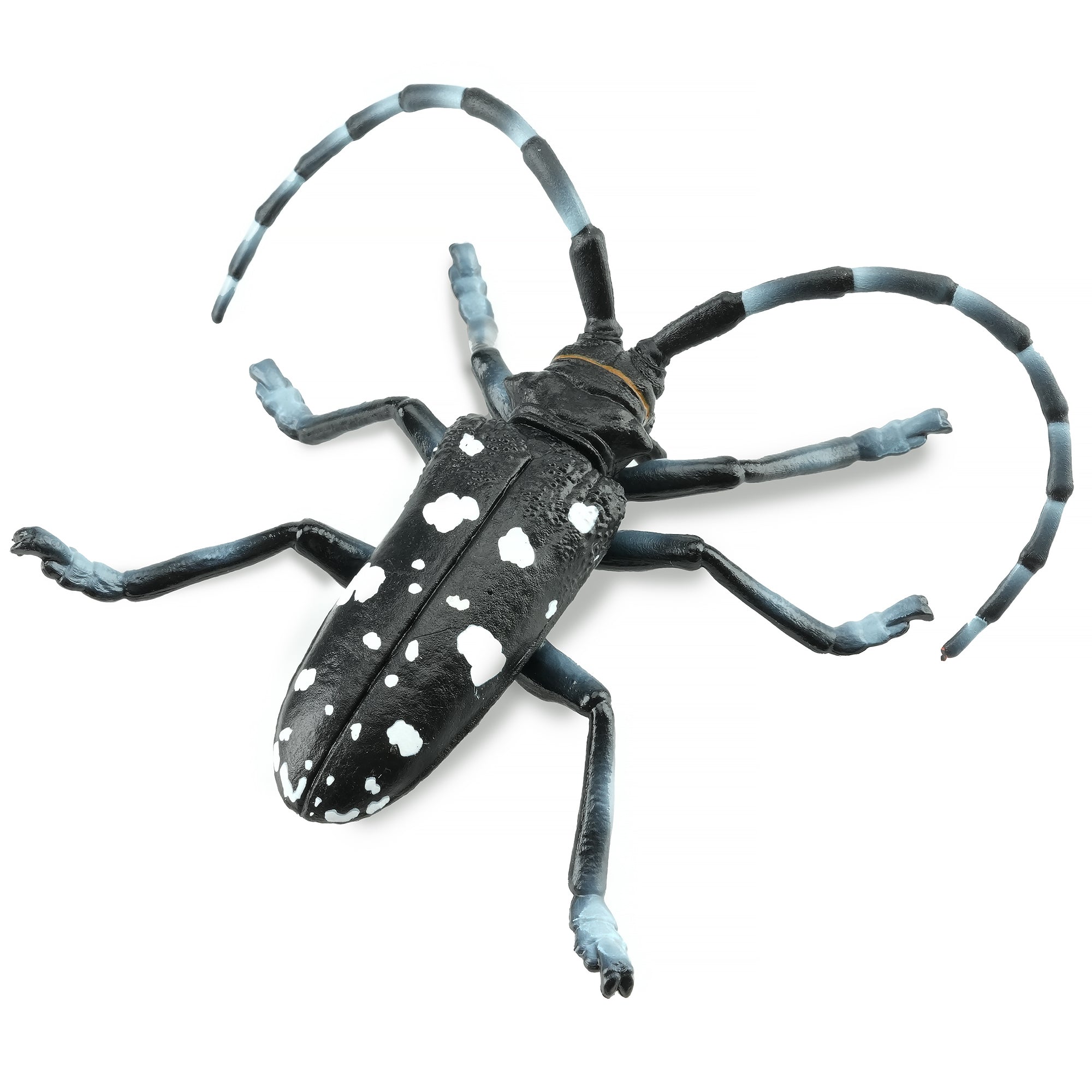 Toymany_Citrus_Longhorned_Beetle_Figurine_Toy-4