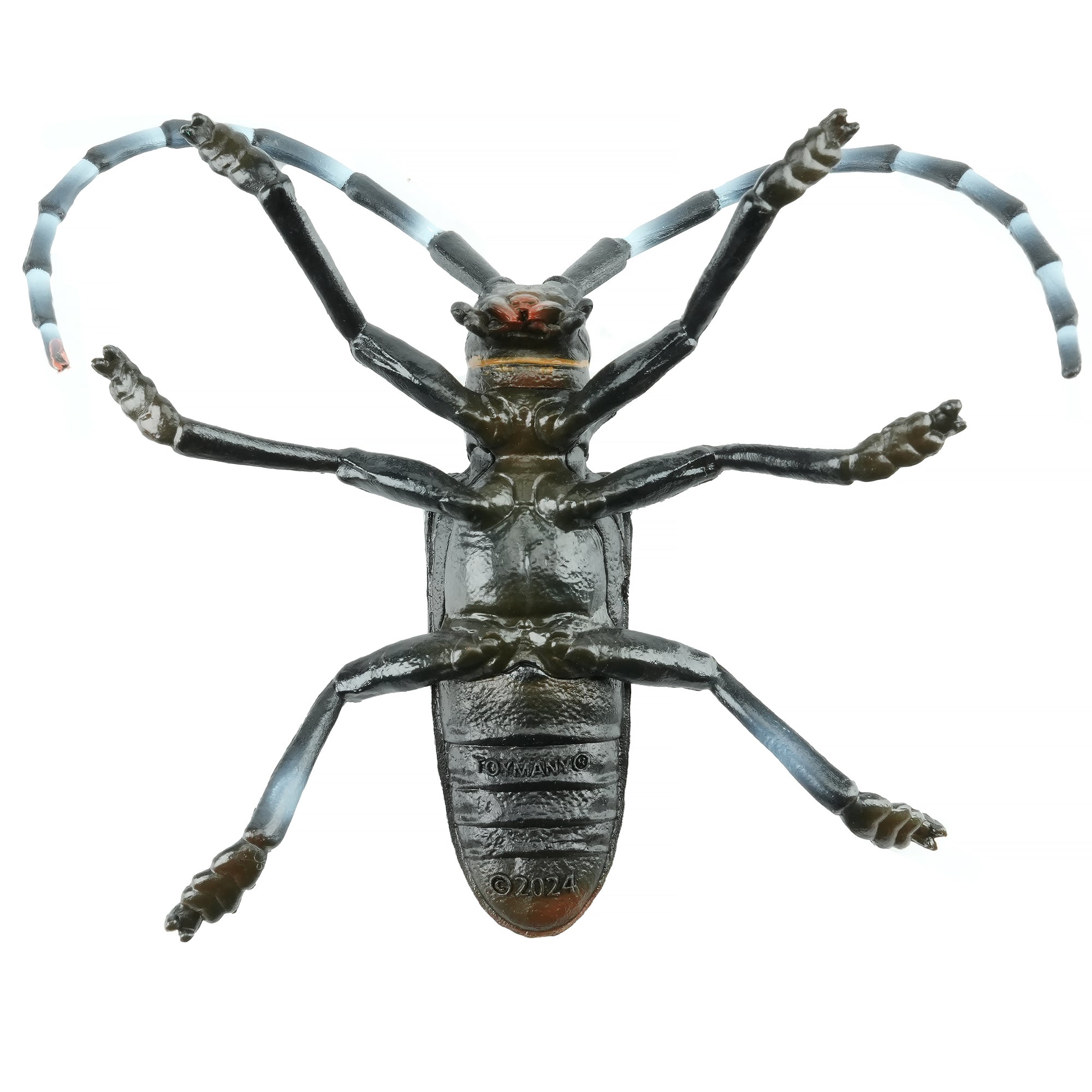 Toymany_Citrus_Longhorned_Beetle_Figurine_Toy-back