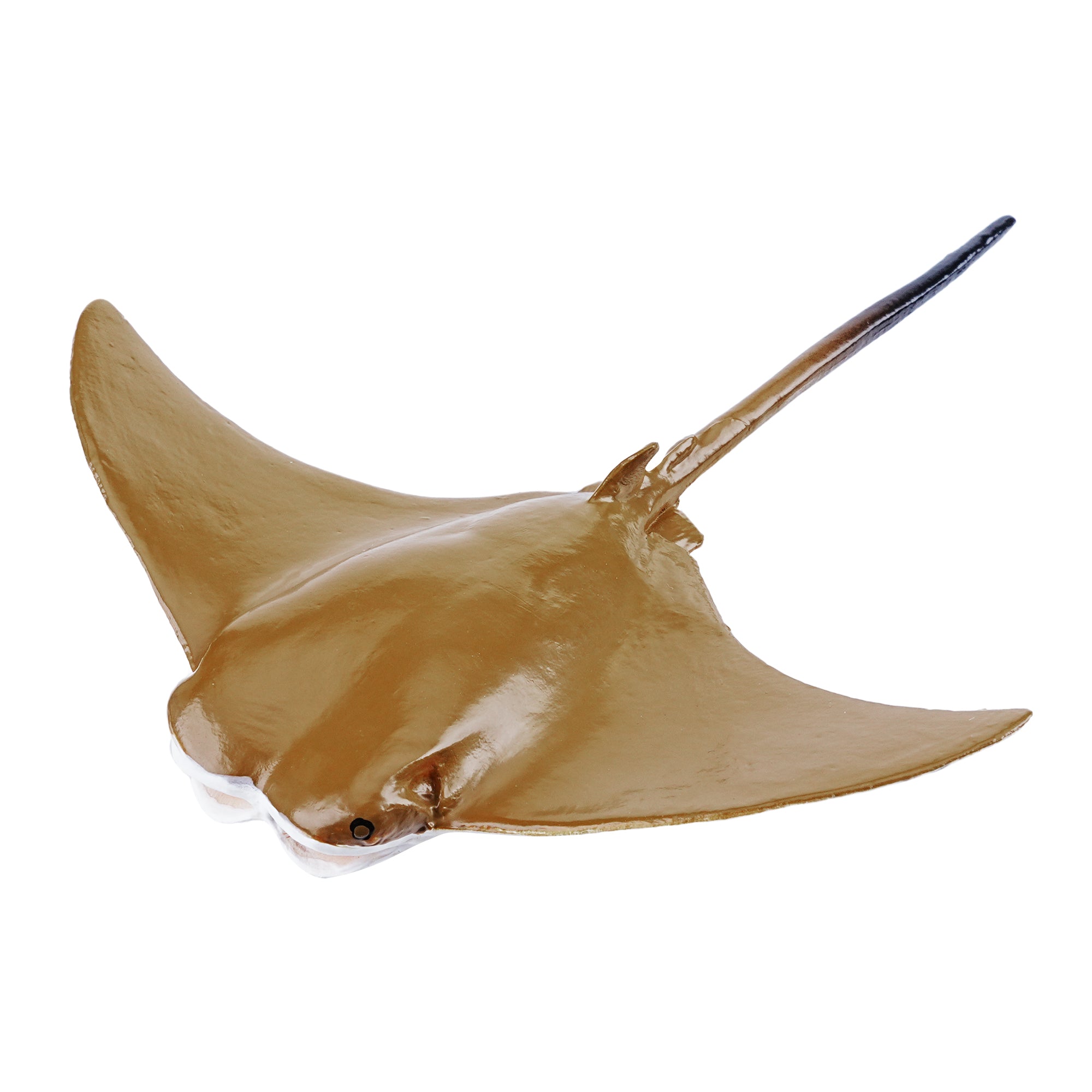 Toymany_Cownose_Ray_Figurine_Toy_Small_Size-1