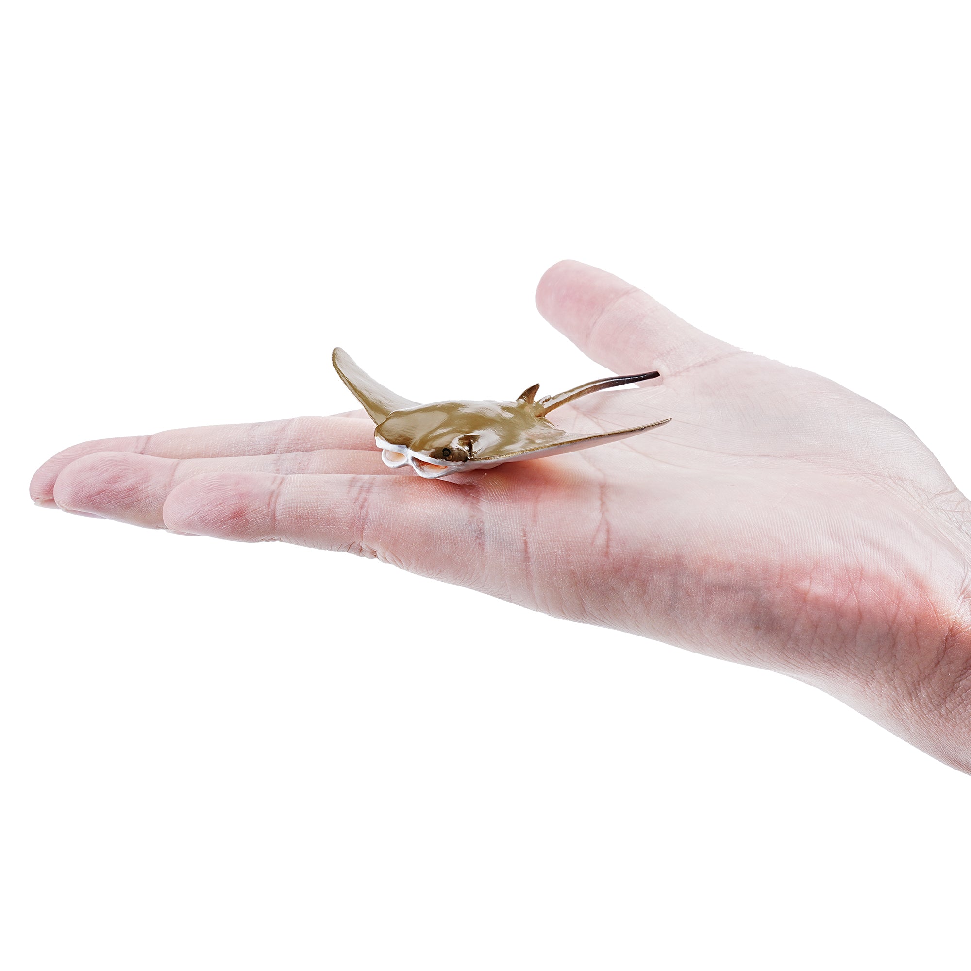 Toymany_Cownose_Ray_Figurine_Toy_Small_Size-on_hand