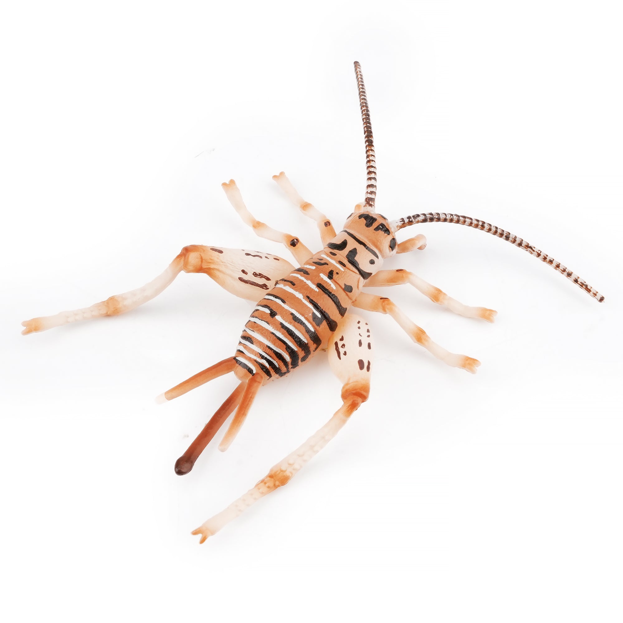 Toymany_Cricket_Figurine_Toy-3