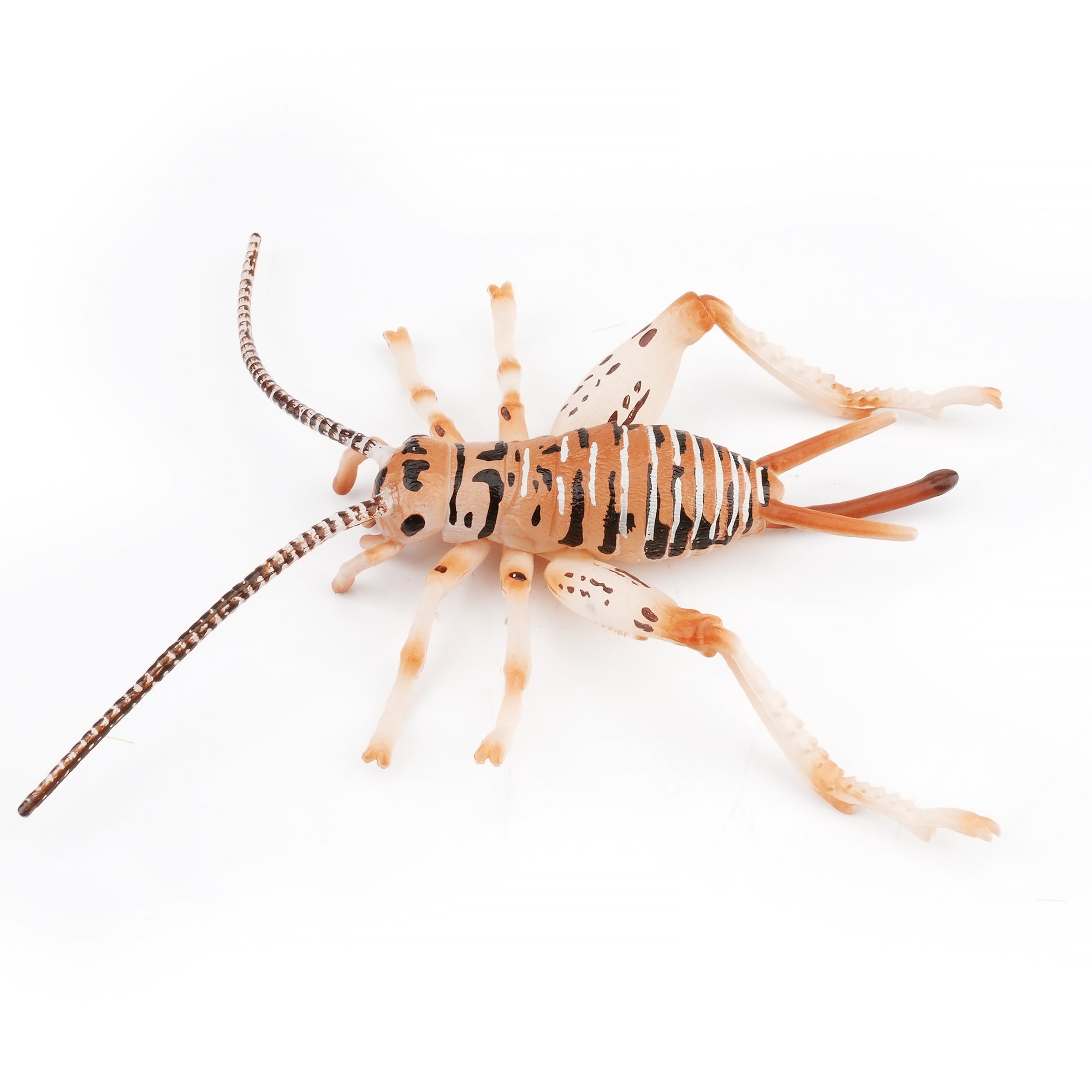 Toymany_Cricket_Figurine_Toy-4