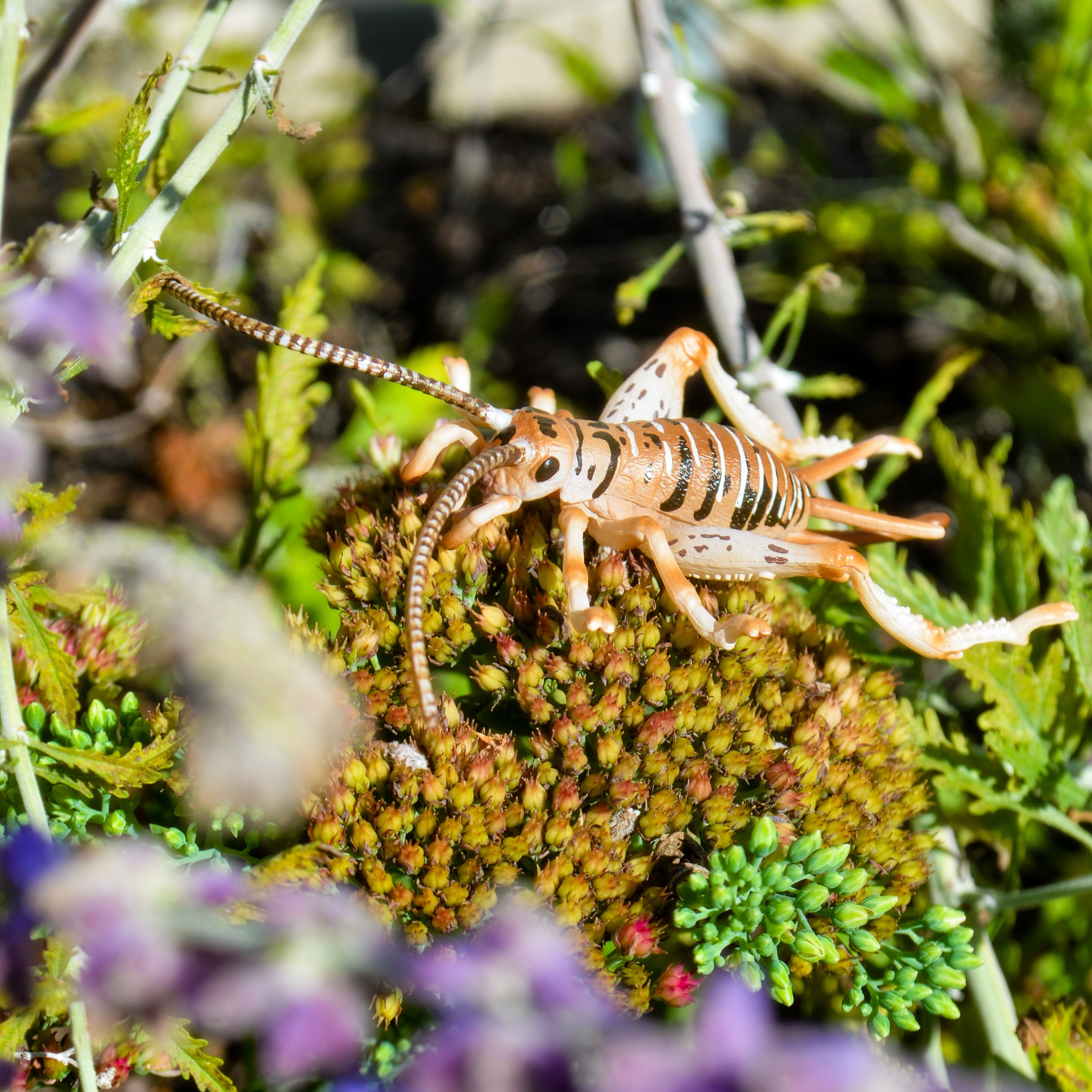 Toymany Cricket Figurine Toy