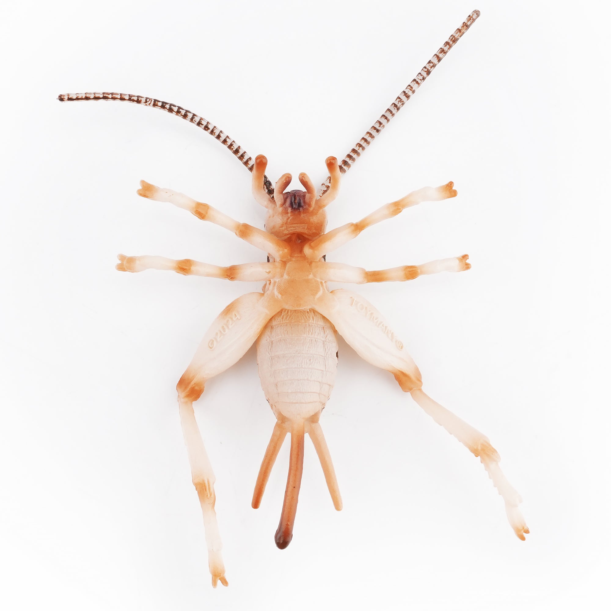 Toymany_Cricket_Figurine_Toy-back