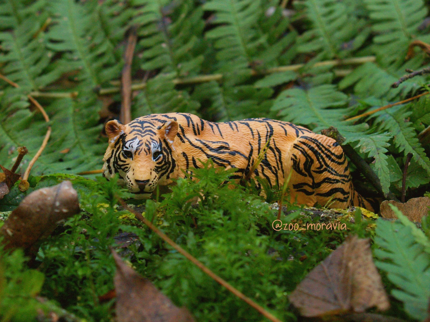 Figurita de Tigre Agazapado de Toymany