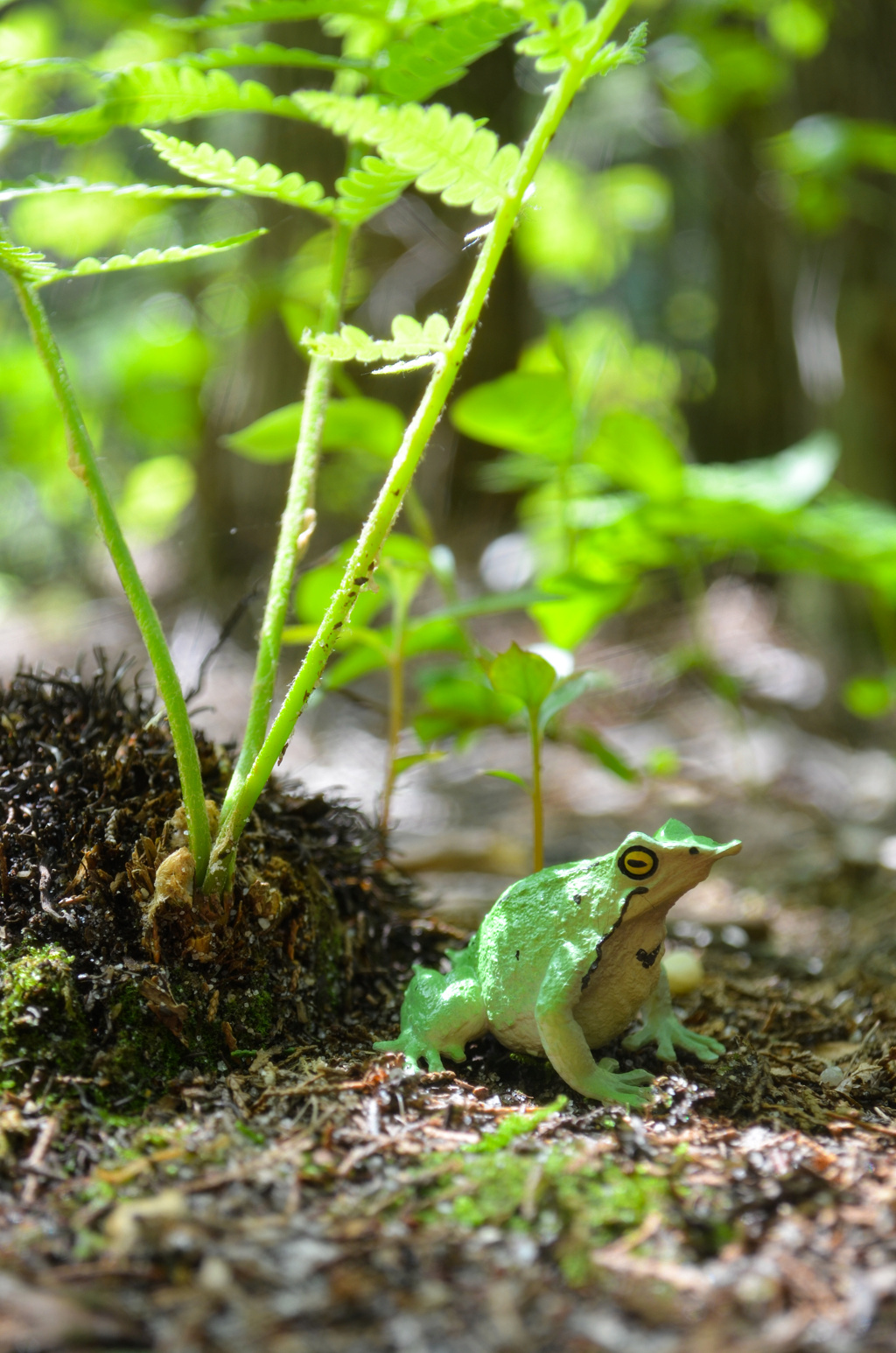 Toymany Darwin's Frog Figurine Toy