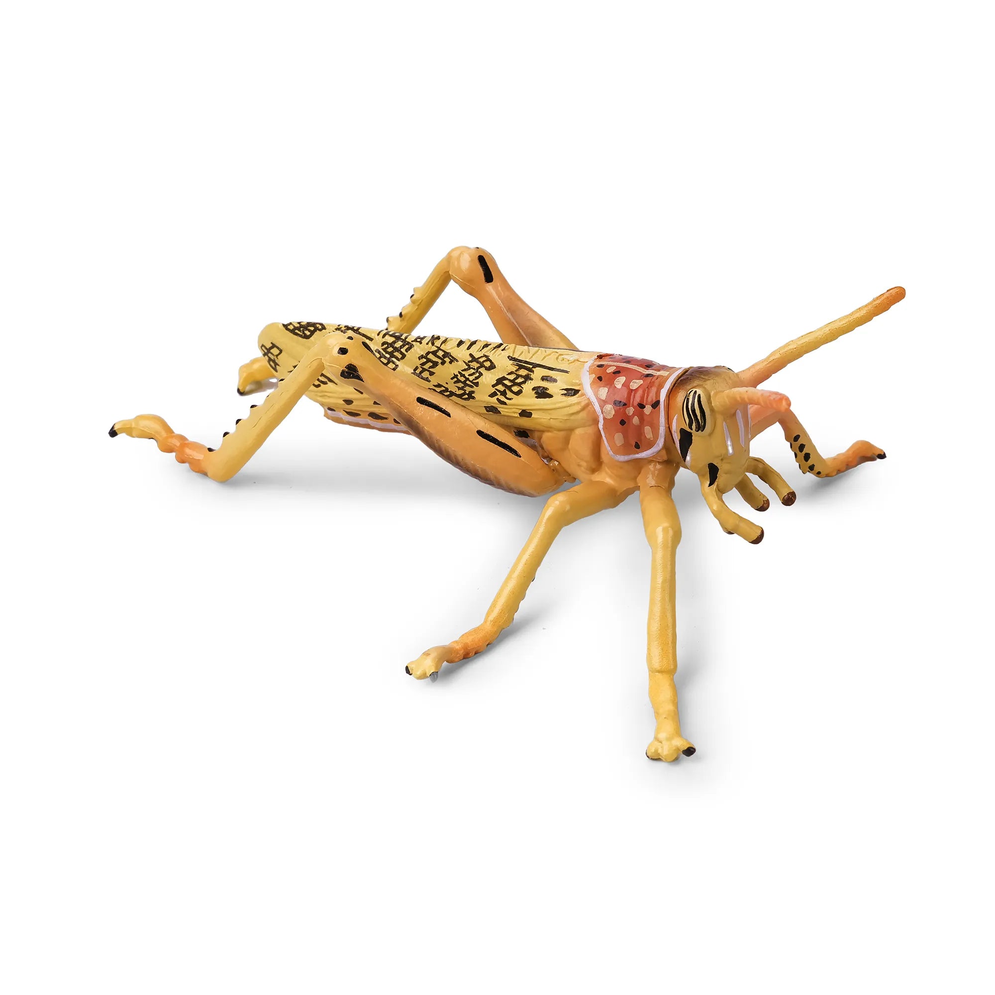 Toymany Desert Locust Figurine Toy