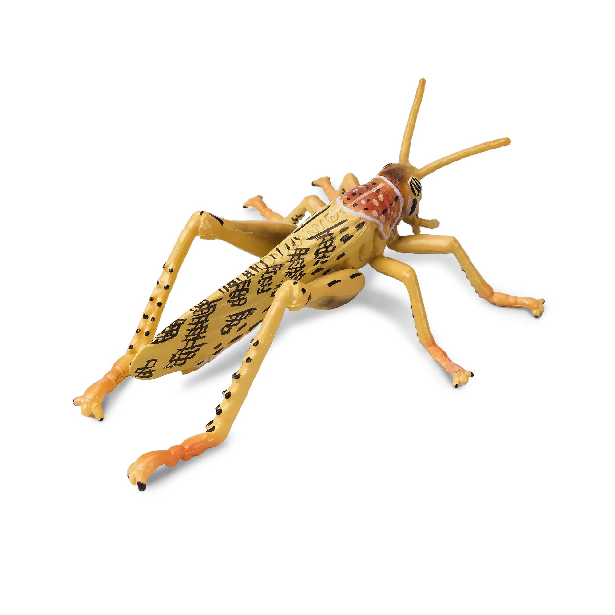 Toymany Desert Locust Figurine Toy