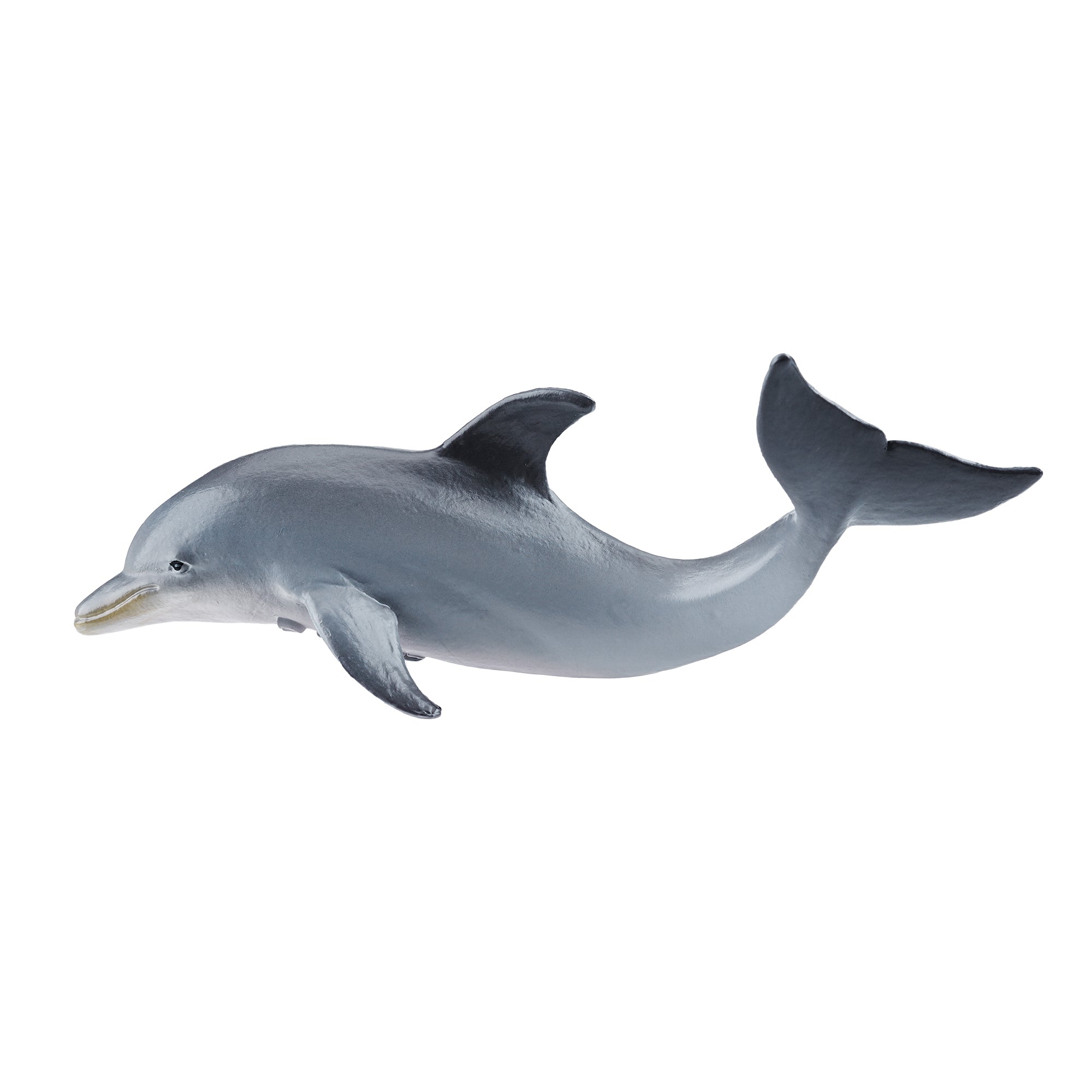 Toymany_Dolphin_Calf_Figurine_Toy_Small_Size-2