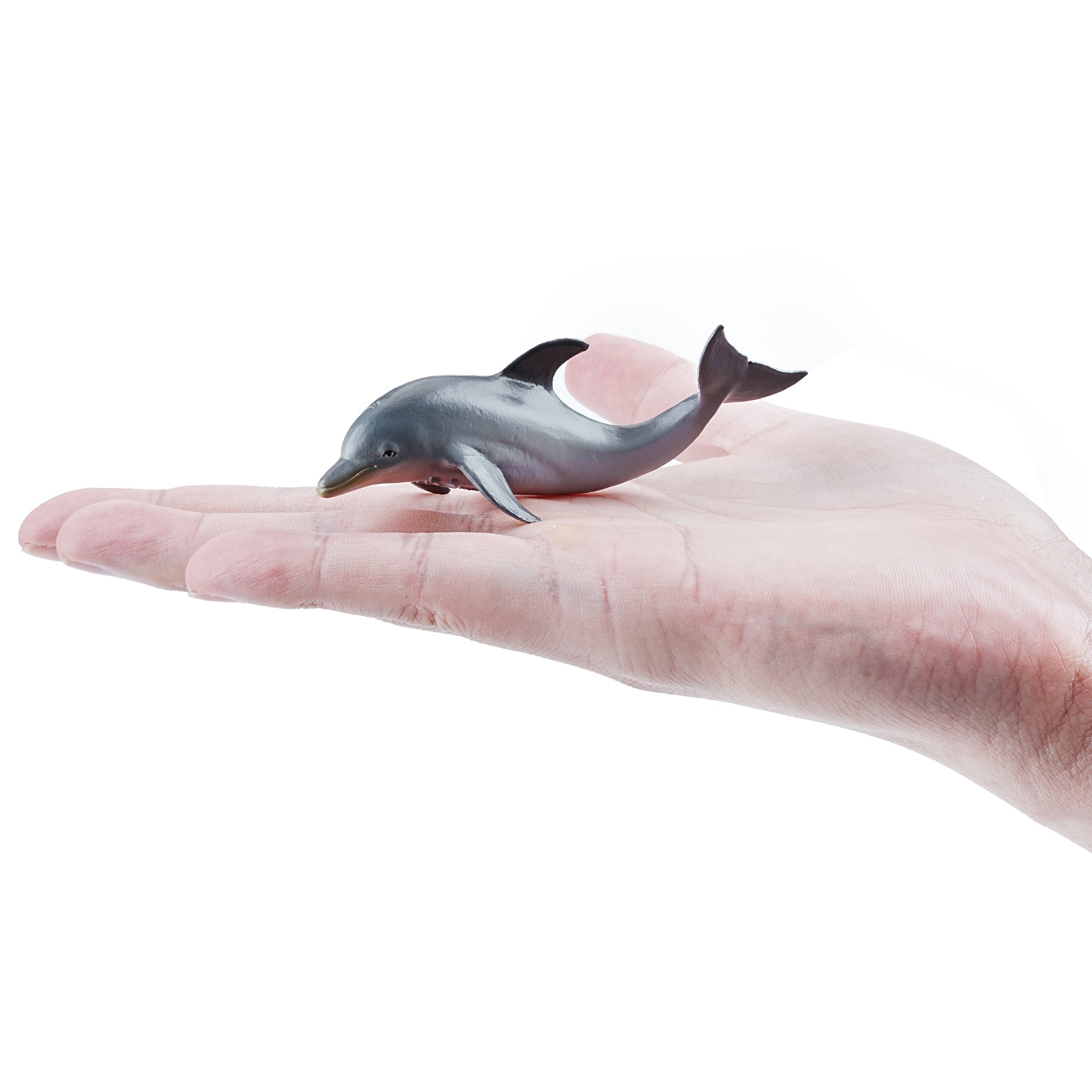 Toymany_Dolphin_Calf_Figurine_Toy_Small_Size-on_hand