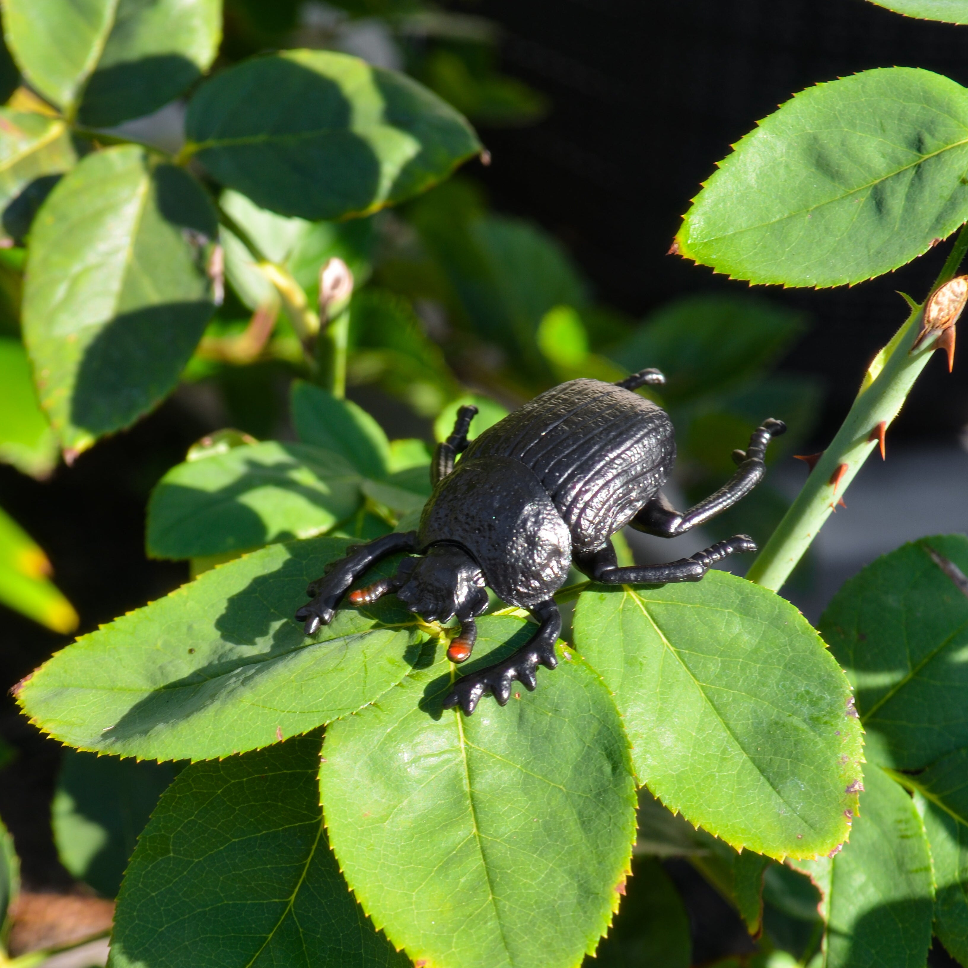 Toymany Dung Beetle Figurine Toy