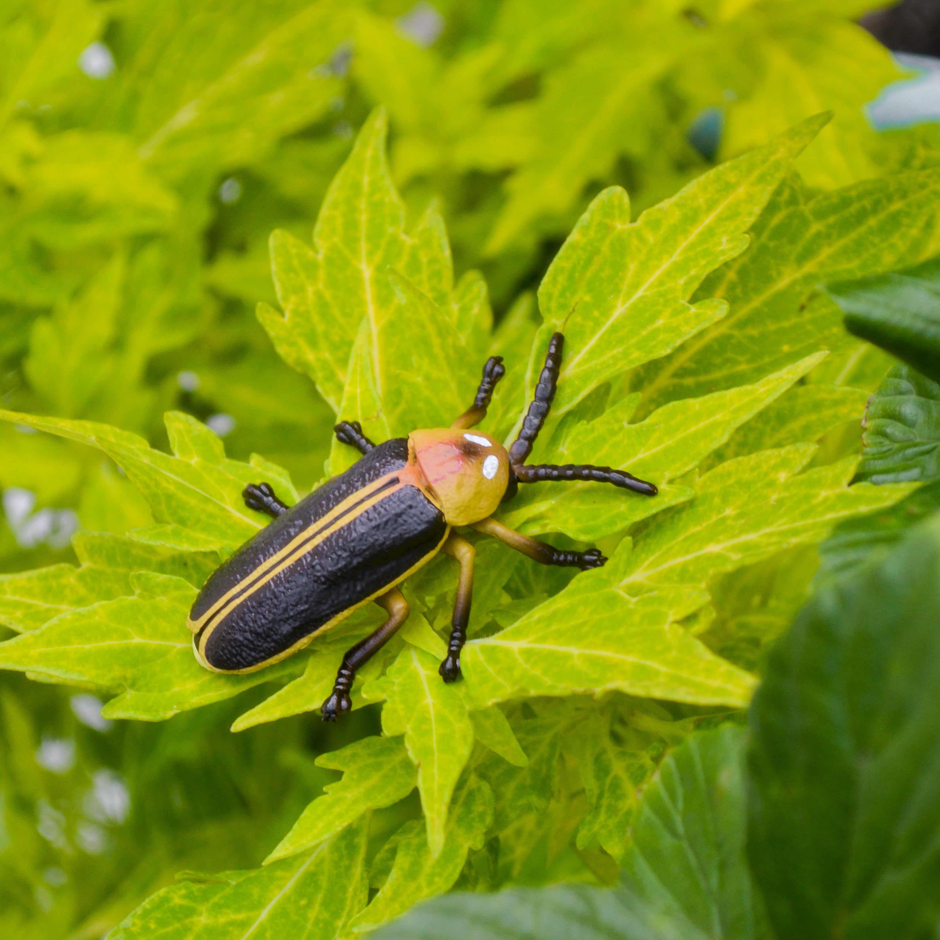 Toymany Firefly Figurine Toy