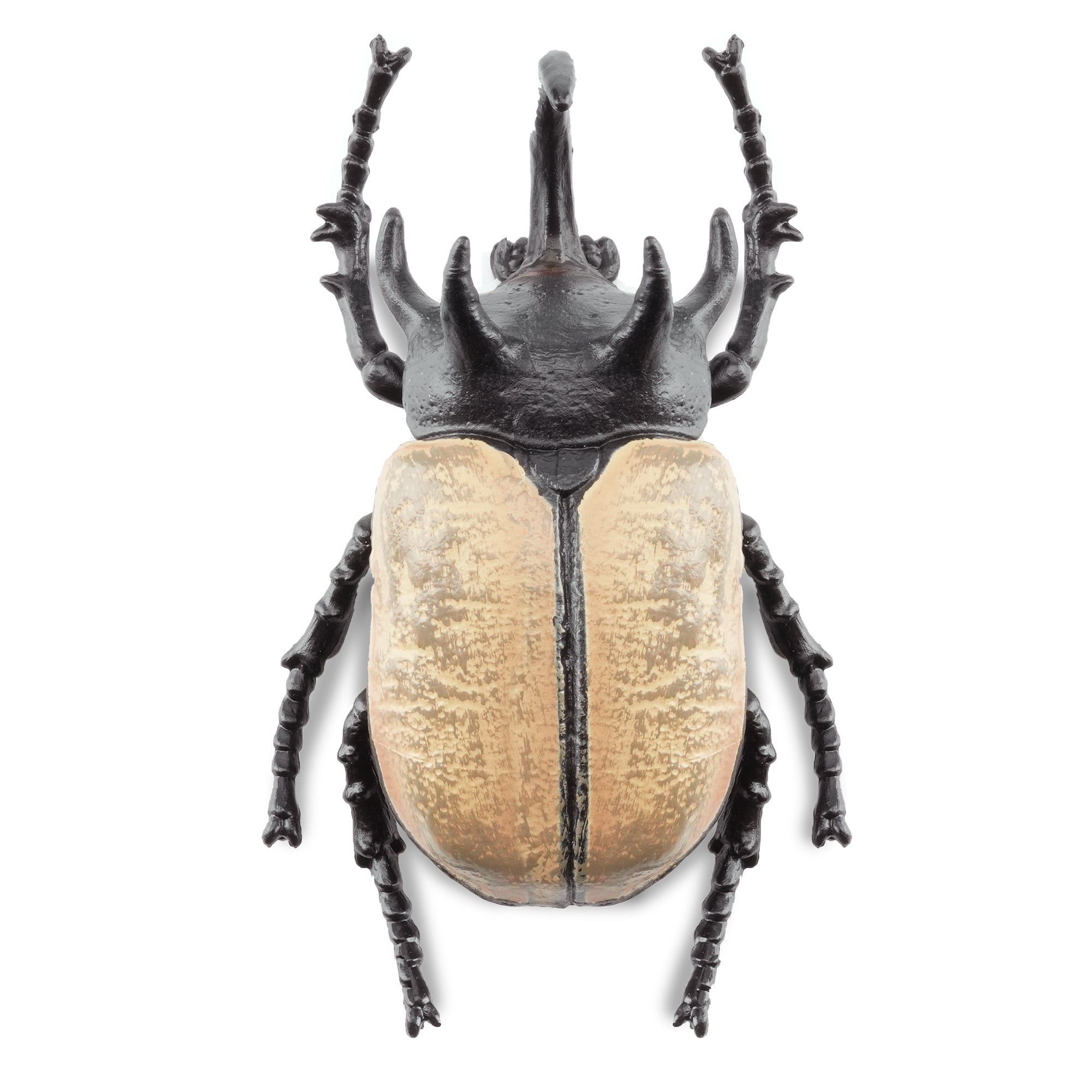 Toymany_Five-horned_Rhinoceros_Beetle_Figurine_Toy-2