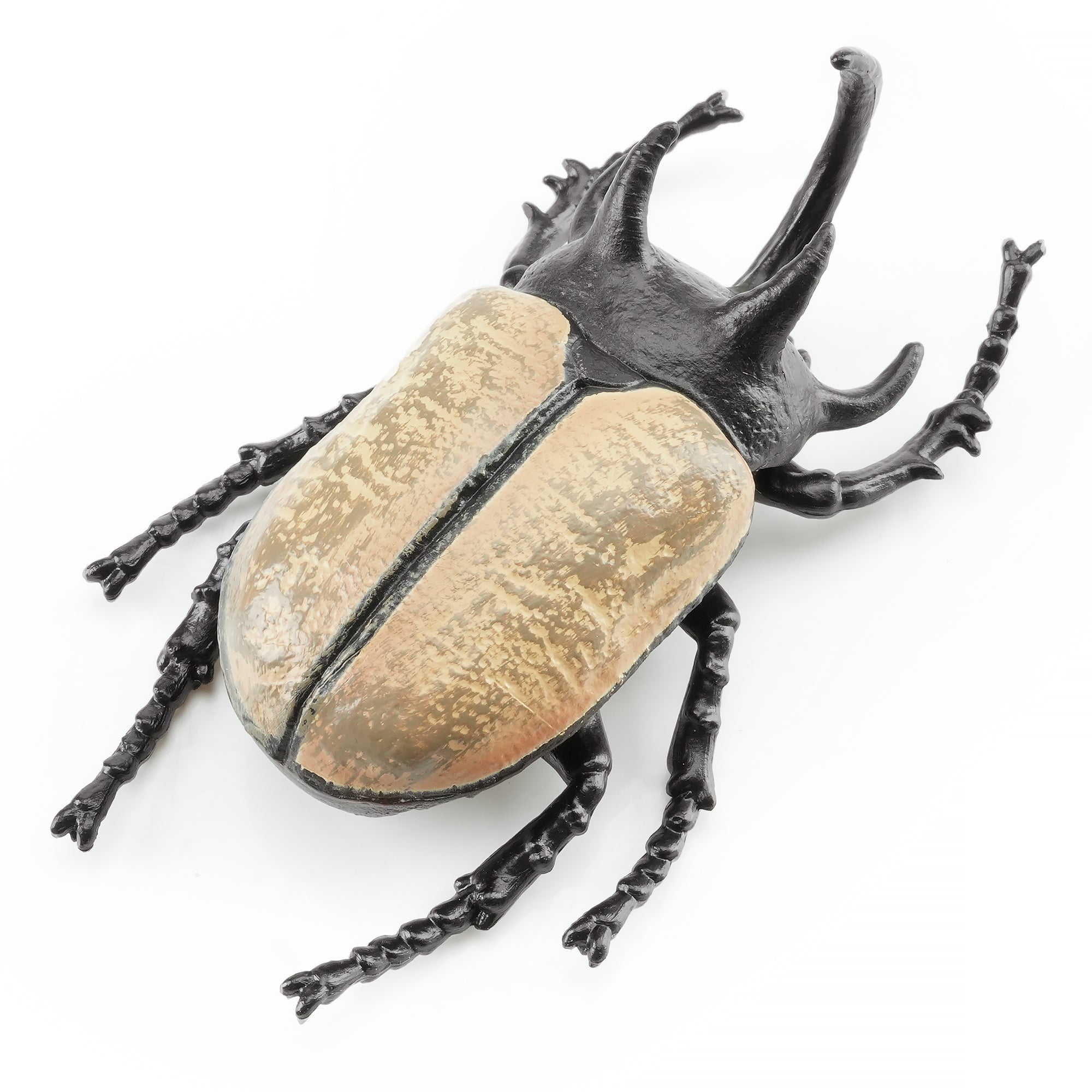 Toymany_Five-horned_Rhinoceros_Beetle_Figurine_Toy-3